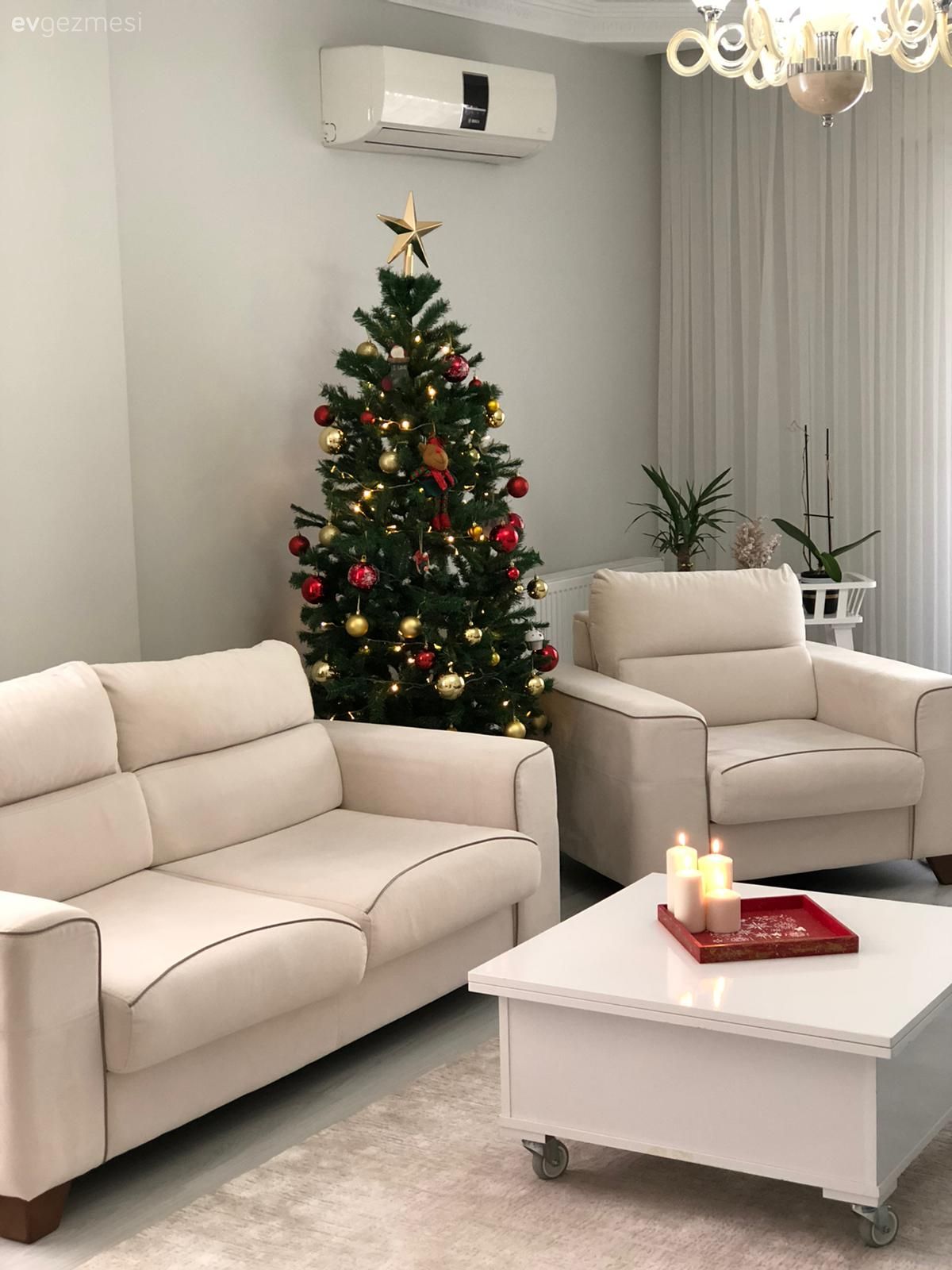 Beyaz koltuk, Orta sehpa, Sehpa, Çam ağacı, Halı, Salon halısı, Avize, Aydınlatma