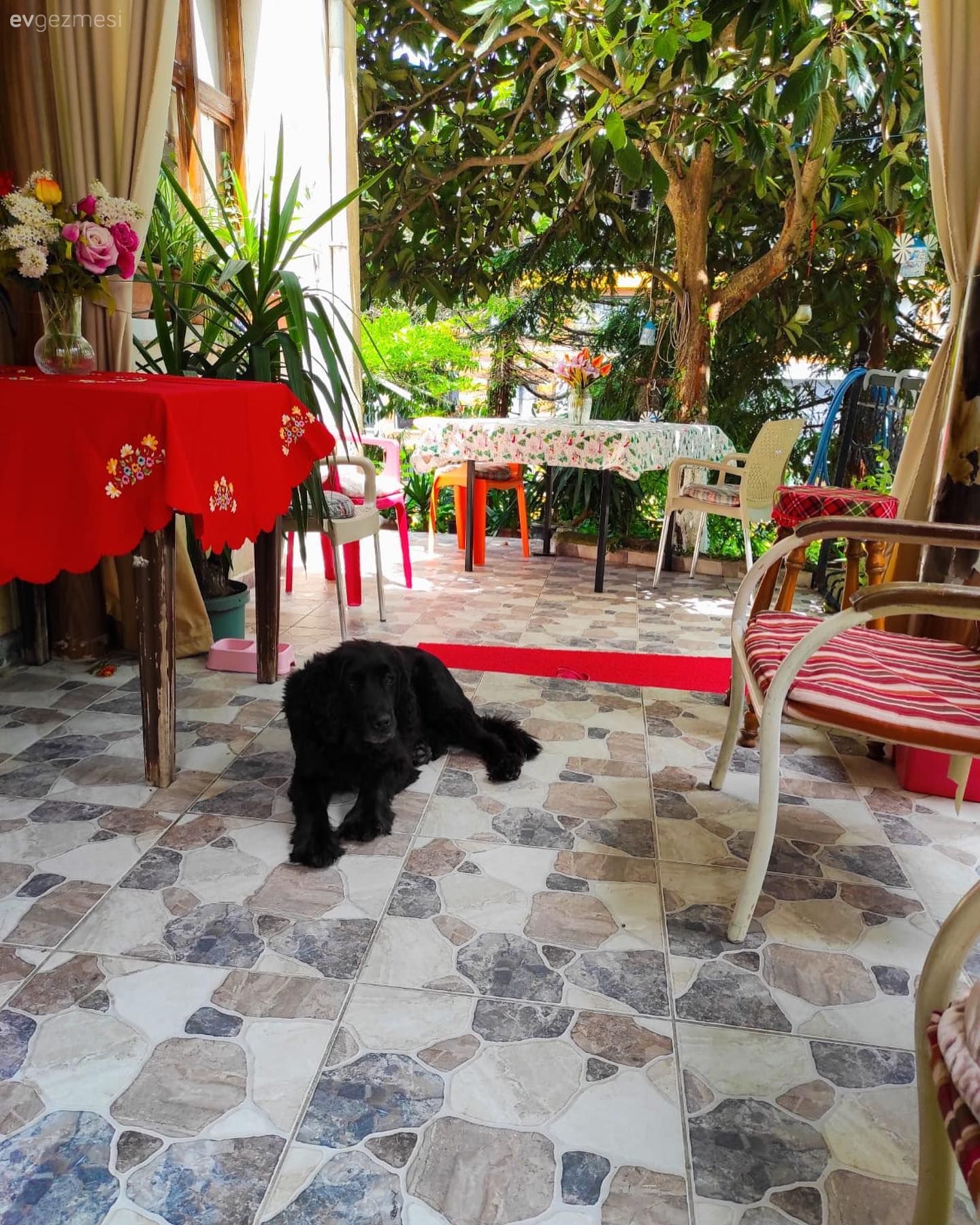 Müstakil Ev, Bahçe