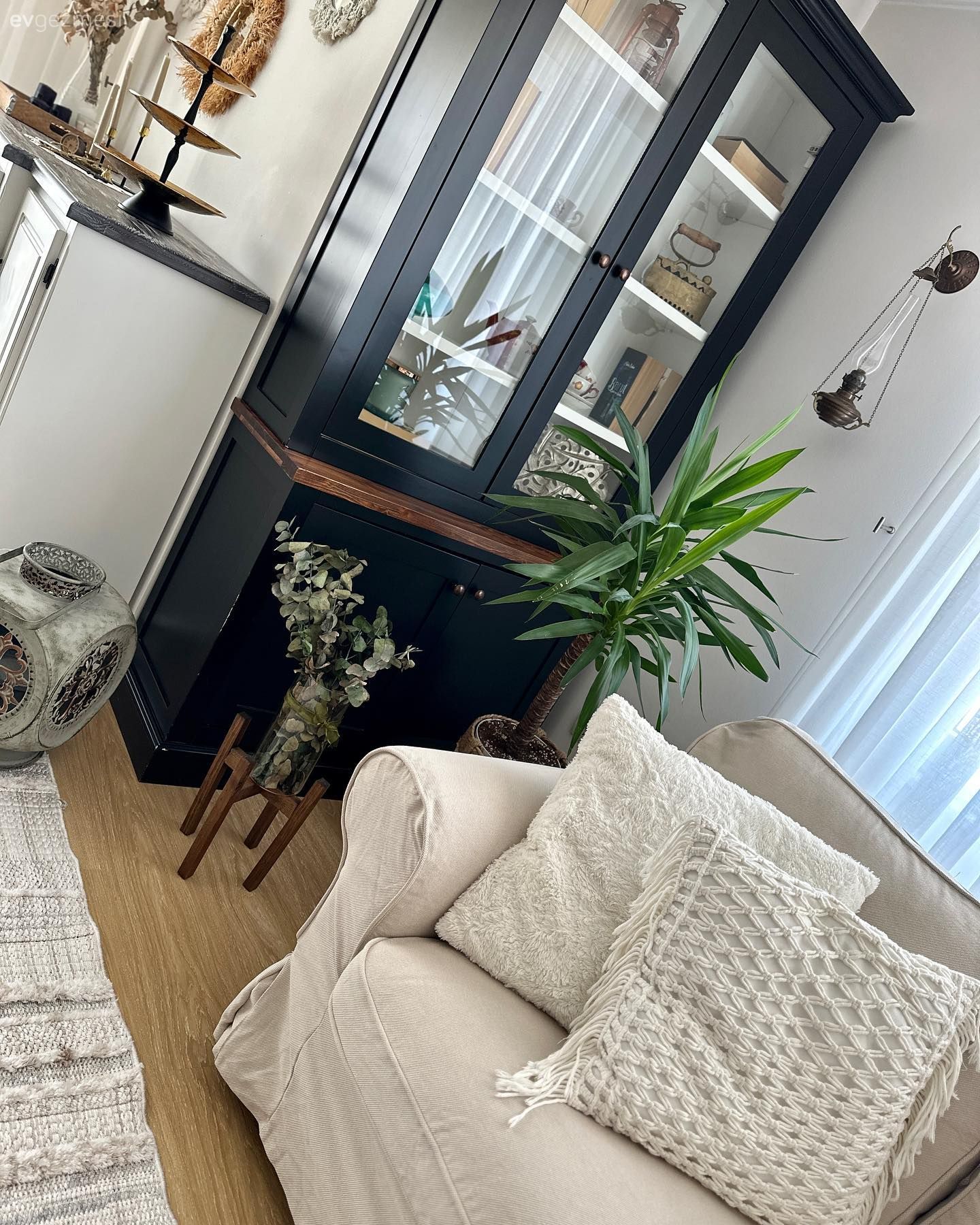 Bej, Salon, Koltuk takımı, Vitrin, Dekoratif Objeler, Ev bitkisi, Parke, Halı, Tül perde, Perde, Kırlent, Ev tekstili