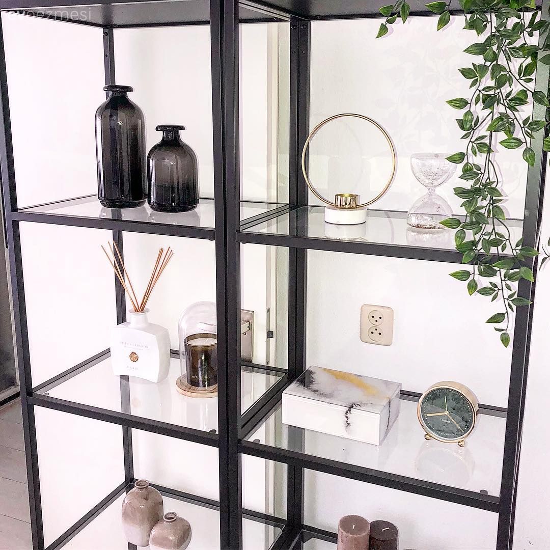 Siyah, Kitaplık, Kitaplık dekoratif objeleri, Ev bitkisi