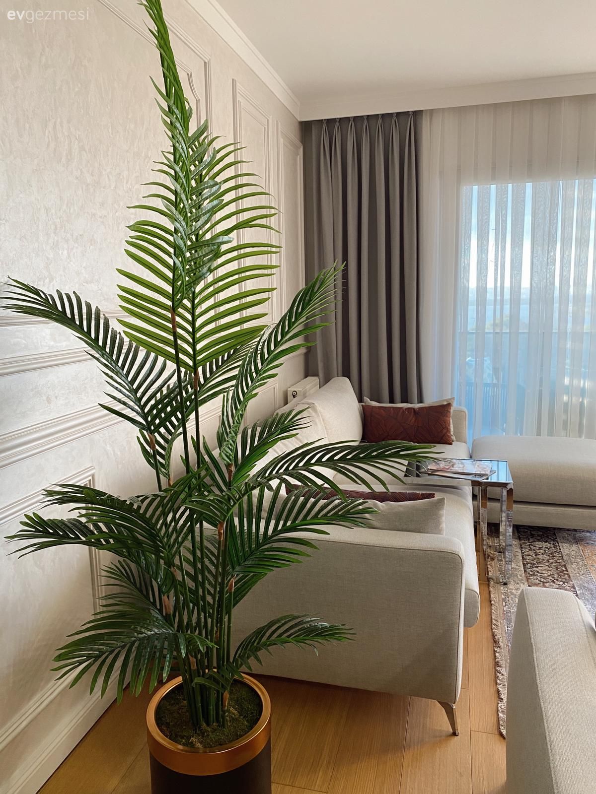 Salon, Modern, Bej, Beyaz, Gri, Fon perde, Perde, Tül perde, Koltuk takımı, Kırlent, Ev tekstili, Beyaz koltuk, Duvar çıtalama, Ev bitkisi, Parke, Puf