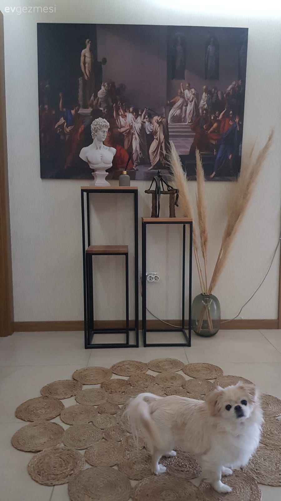 Antre, Beyaz, Siyah, Dekoratif Objeler, Dresuar, Tablo, Duvar dekorasyonu, Vazo, Ev Aksesuar, Pampas otu, Jüt halı, Halı, Antre halısı