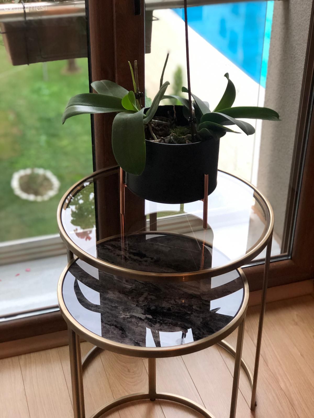 Yuvarlak sehpa, Sehpa, Yan sehpa, Altın, Ev bitkisi