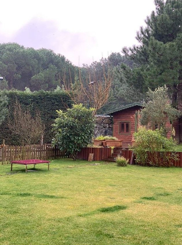 Müstakil Evdeki Huzurlu Yaşam Evin Dekorasyonuna Da Yansımış!