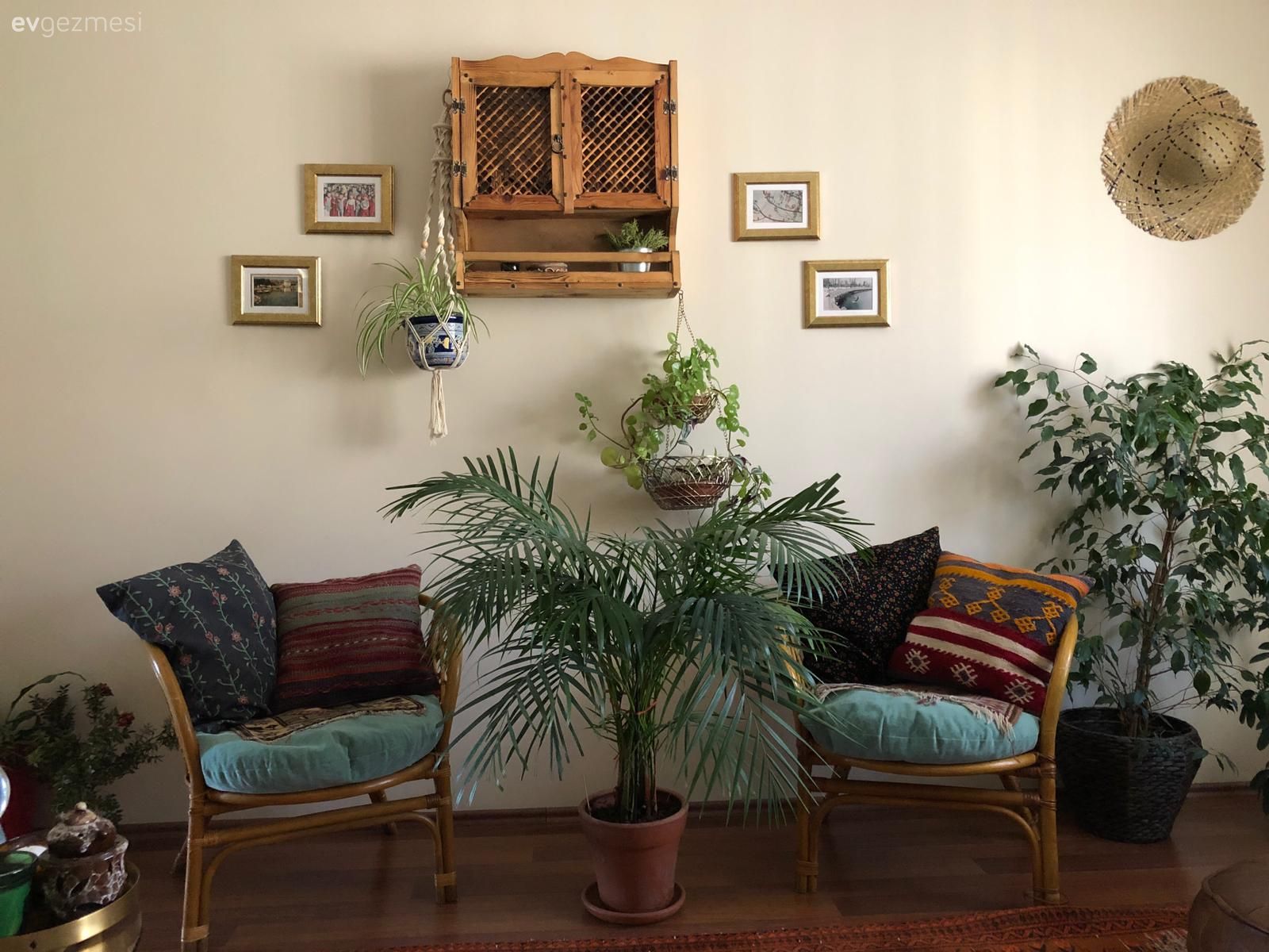 Salon, Hasır sandalye, Duvar dekorasyonu, Ev bitkisi, Parke, Kırlent, Ev tekstili