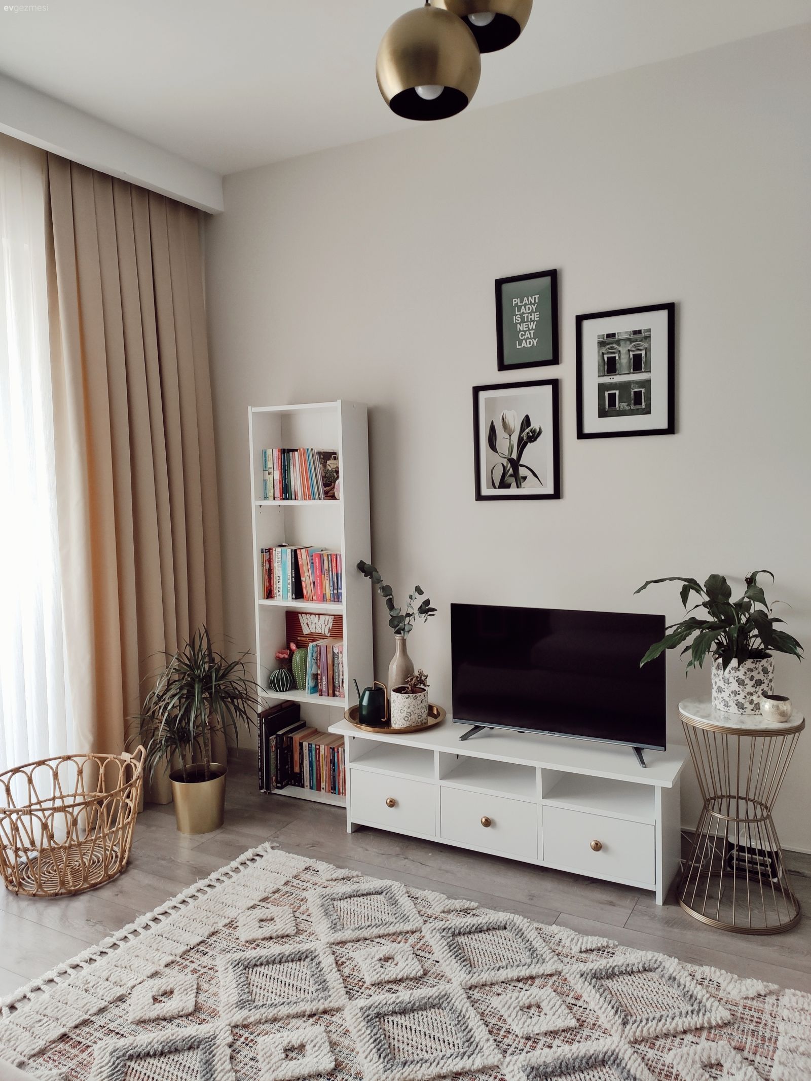 Oturma Odası, Krem, Vizon, Bej, Beyaz, Fon perde, Perde, Kitaplık, Halı, Avize, Aydınlatma, Kırlent, Ev tekstili, Çerçeve, Ev bitkisi