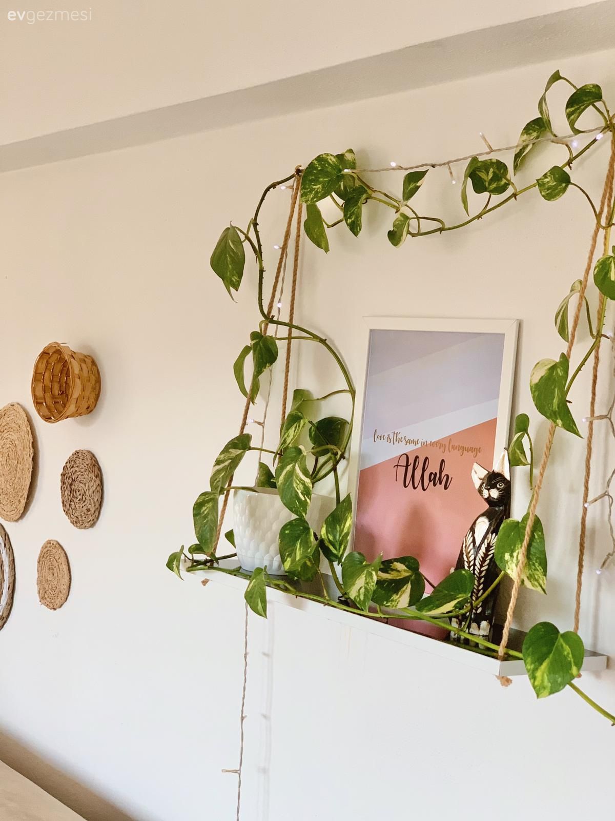 Bu Sıcak Dekorda Mekanın Sahibi Yemyeşil Bitkiler!