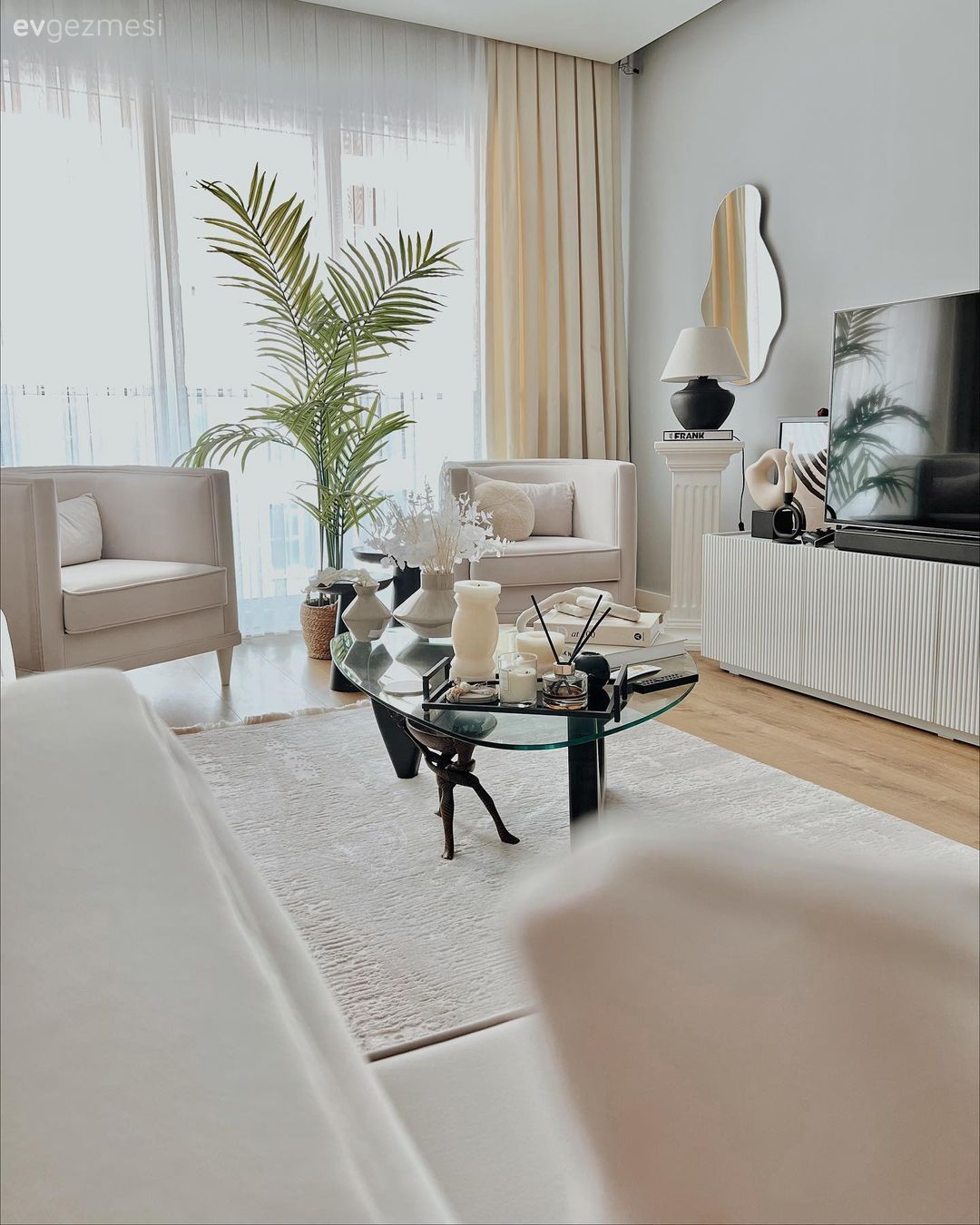 Salon, Krem, Bej, Beyaz, Tv ünitesi, Tv ünitesi aksesuarları, Ev Aksesuar, Tül perde, Perde, Berjer, Ev bitkisi, Halı, Salon halısı, Orta sehpa, Sehpa, Kırlent, Ev tekstili, Dekoratif Objeler, Cam orta sehpa