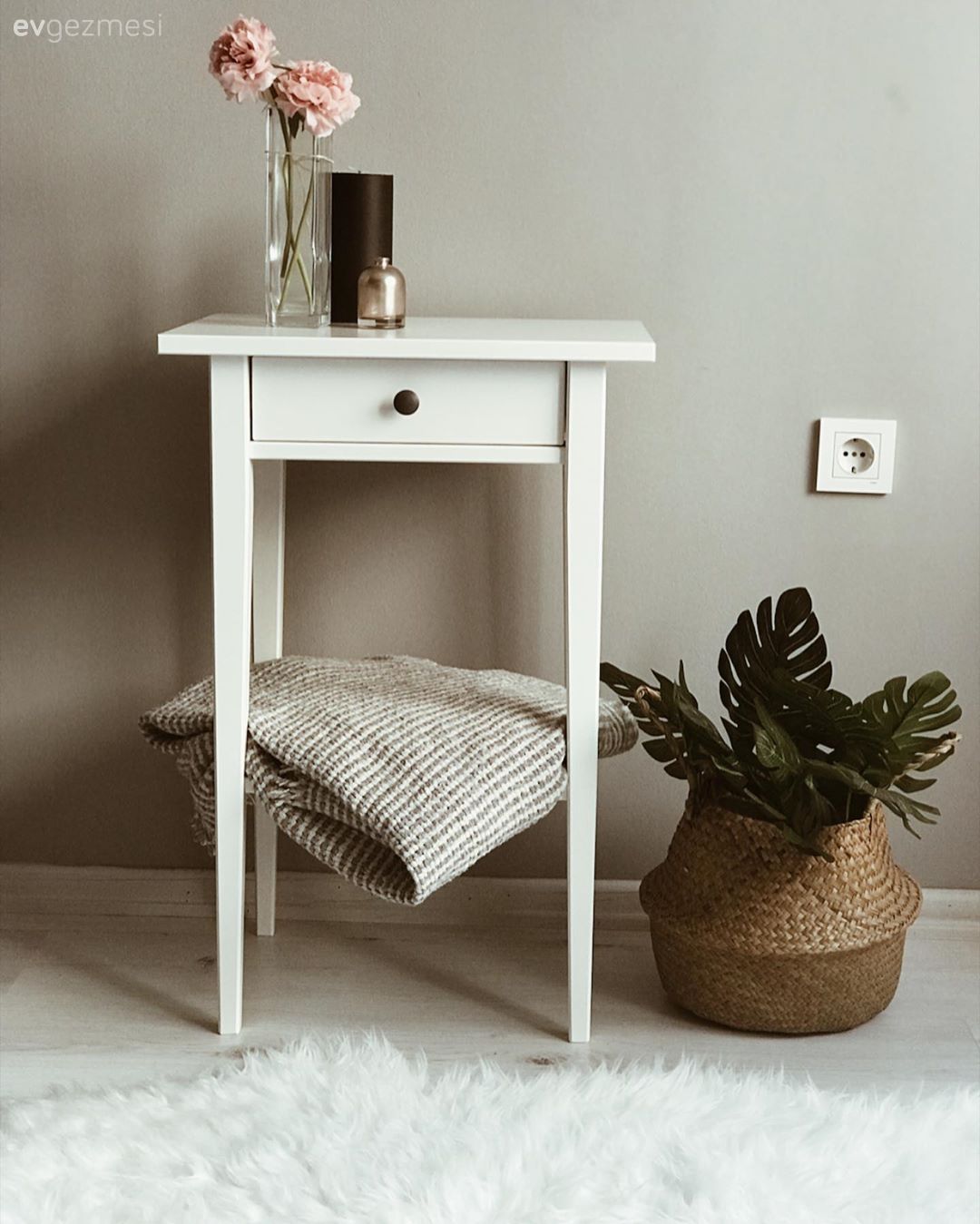 Komodin, Ev bitkisi, Post halı, Halı