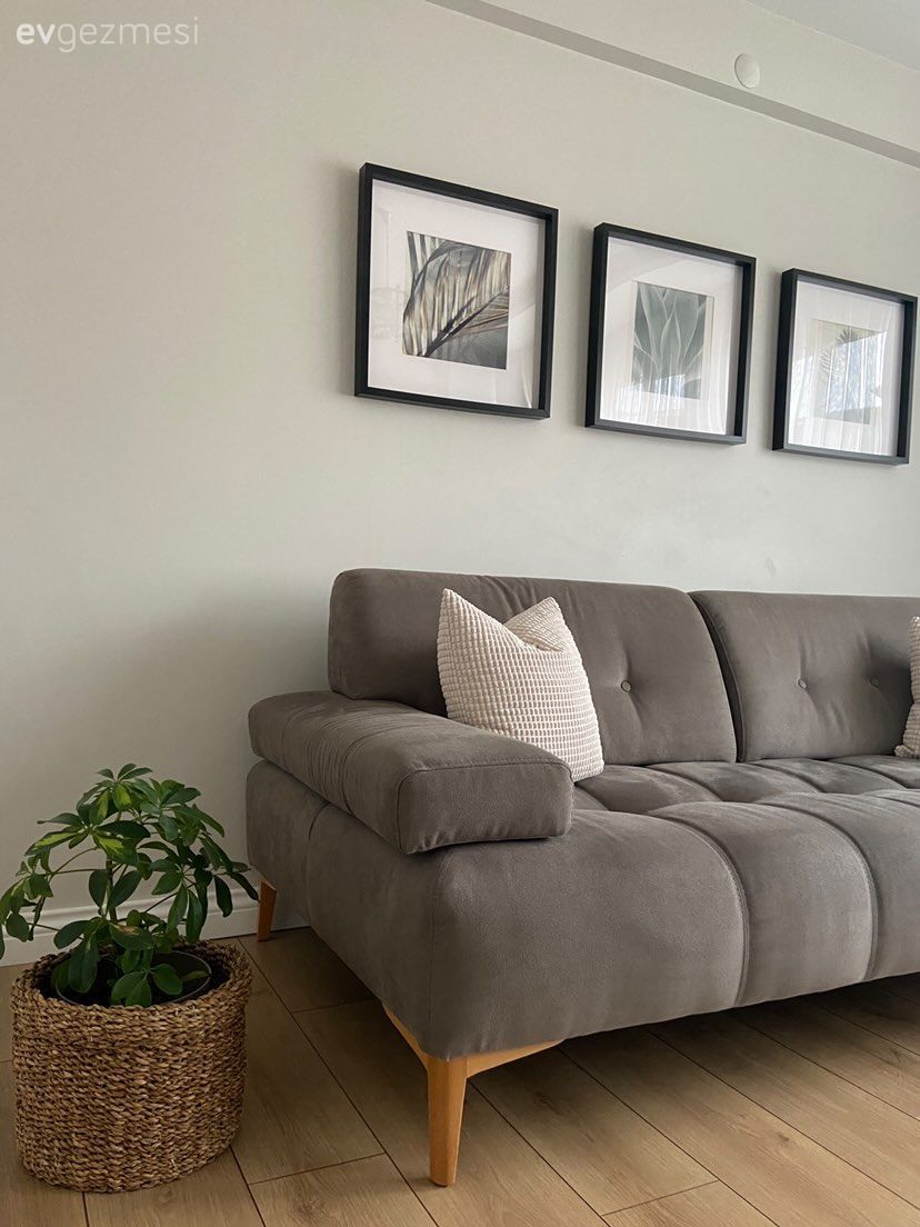 Çerçeve, Koltuk takımı, Saksı, Ev bitkisi, Kırlent, Ev tekstili