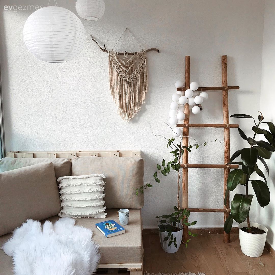 Bu Kayseri Evi İçindeki Bitkilerle Adeta Botanik Bahçesi