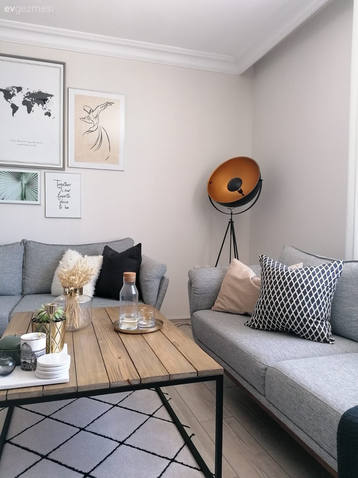 Salon, Modern, Gri, Beyaz, Siyah, Koltuk takımı, Kırlent, Ev tekstili, Halı, Geometrik desen, Desenler, Tablo, Duvar dekorasyonu, Berjer, Ev bitkisi, Hasır, Orta sehpa, Sehpa, Hasır puf, Avize, Aydınlatma, Salon avizesi