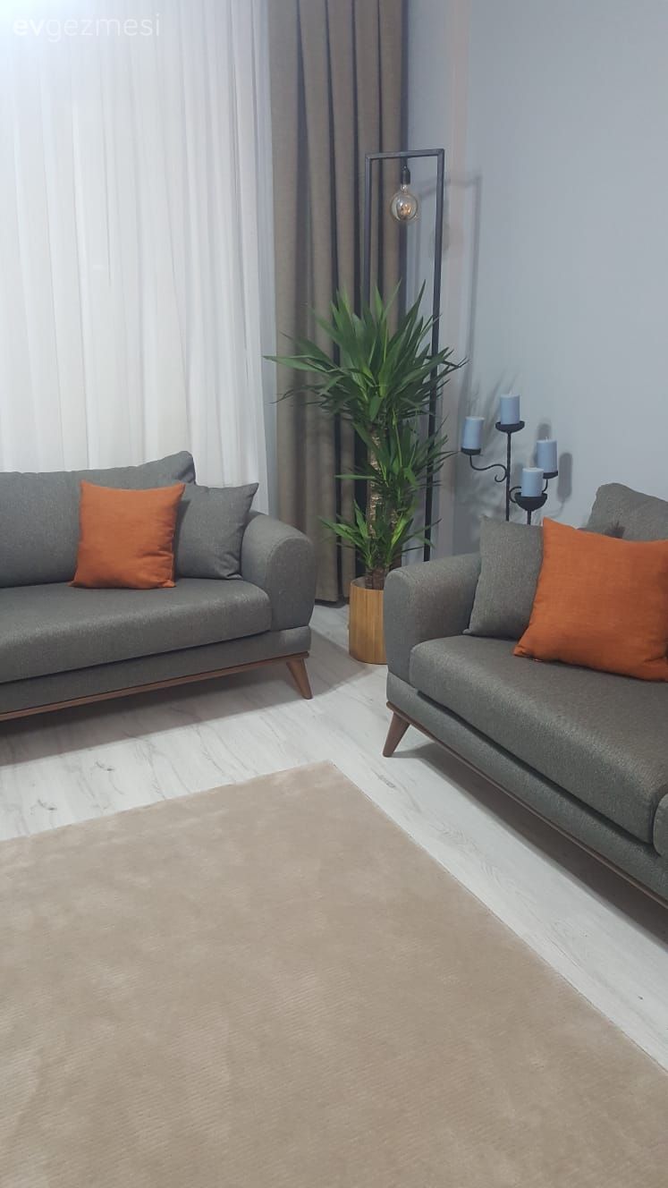 Gri, Turuncu, Vizon, Fon perde, Perde, Tül perde, Ev bitkisi, Lambader, Aydınlatma