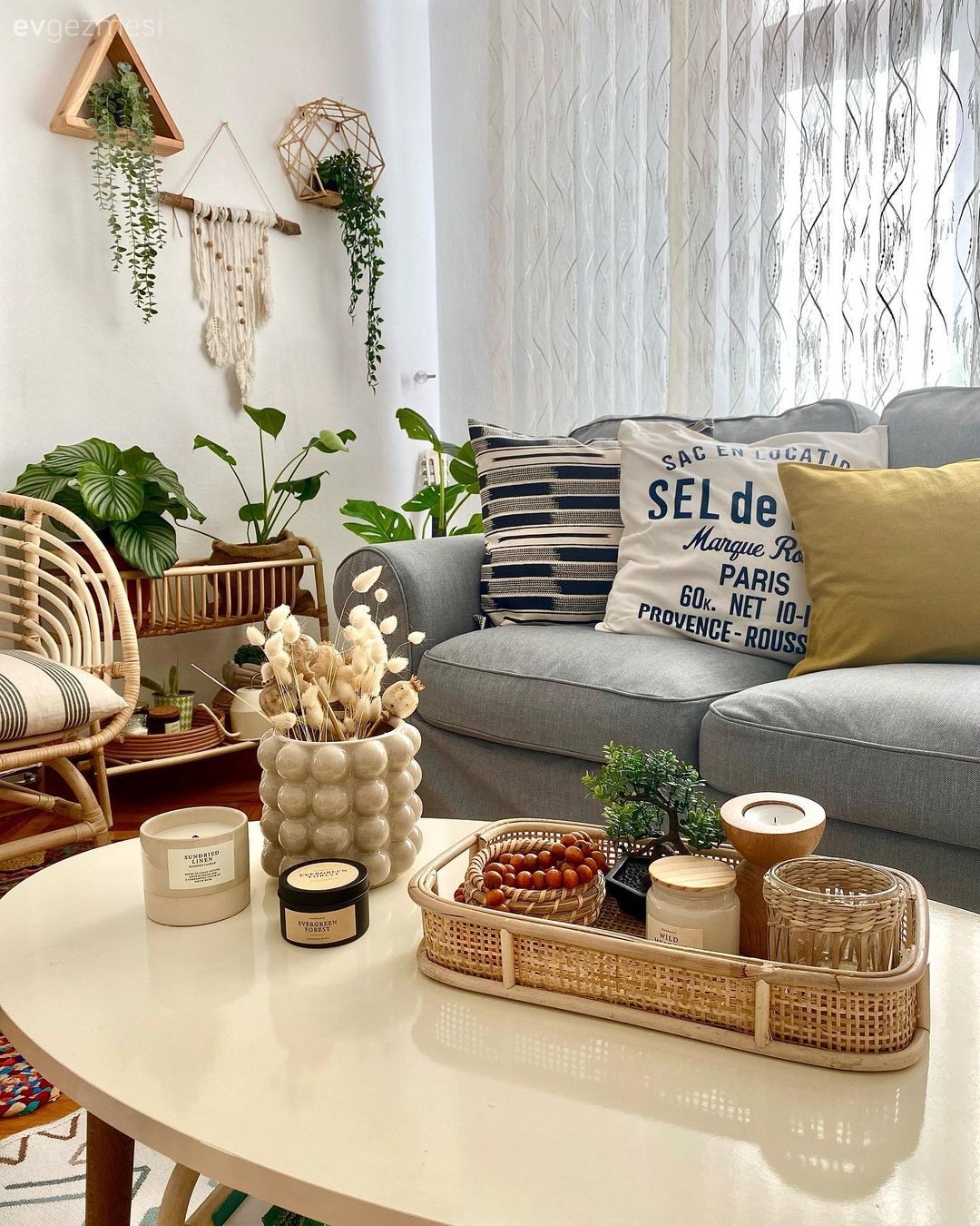 Salon, Koltuk takımı, Gri, Sarı, Hasır sandalye, Ev bitkisi, Saksı, Kırlent, Ev tekstili, Tül perde, Perde, Orta sehpa, Sehpa, Dekoratif Objeler