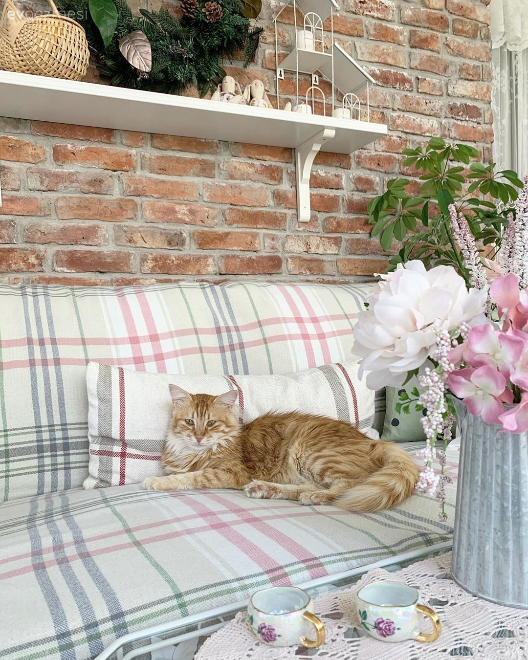 Bu Naif Evin İçinde Bütün Desenler Neşeyle Buluşmuş!