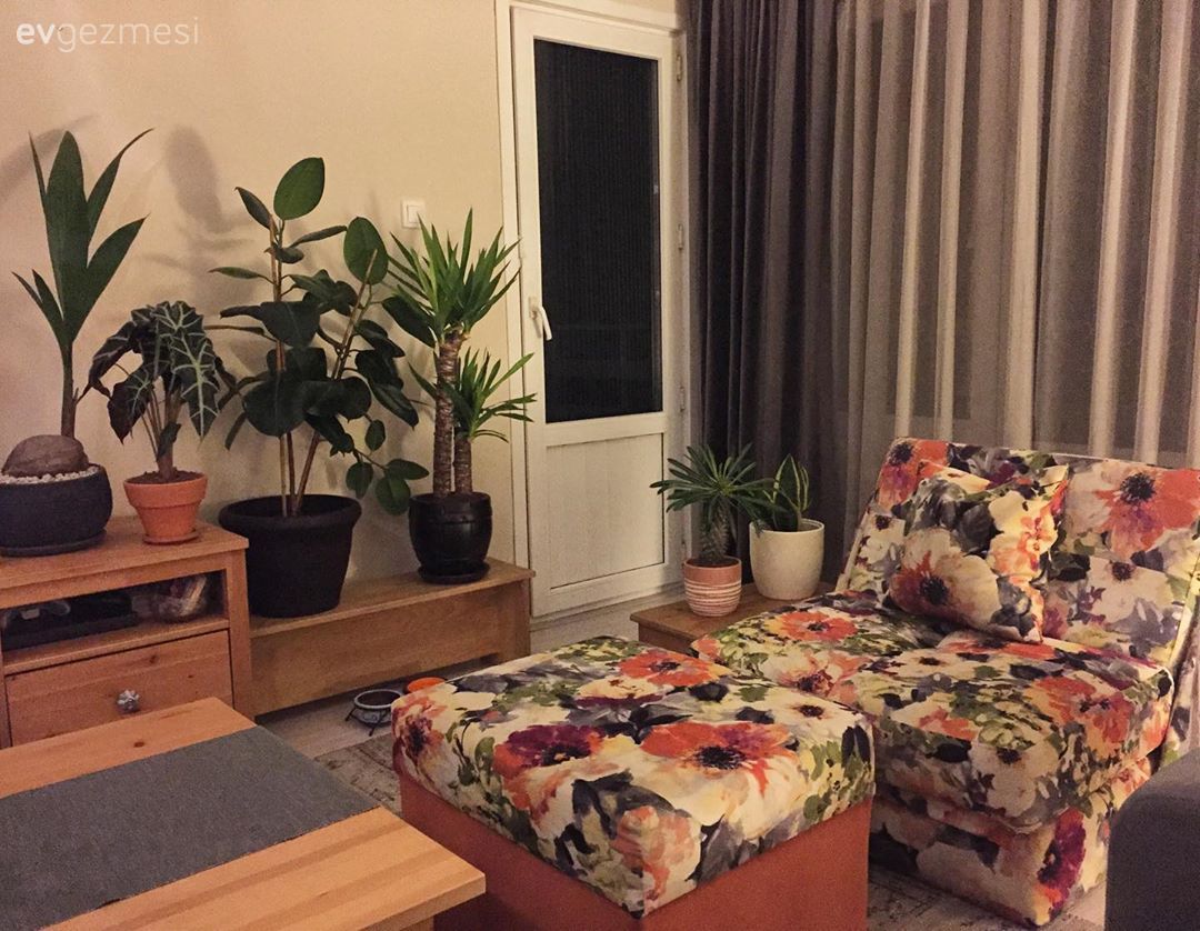 Salon, Berjer, Puf, Çiçekli desen, Desenler, Fon perde, Perde, Ev bitkisi, Tv ünitesi, Ahşap Mobilya, Orta sehpa, Sehpa