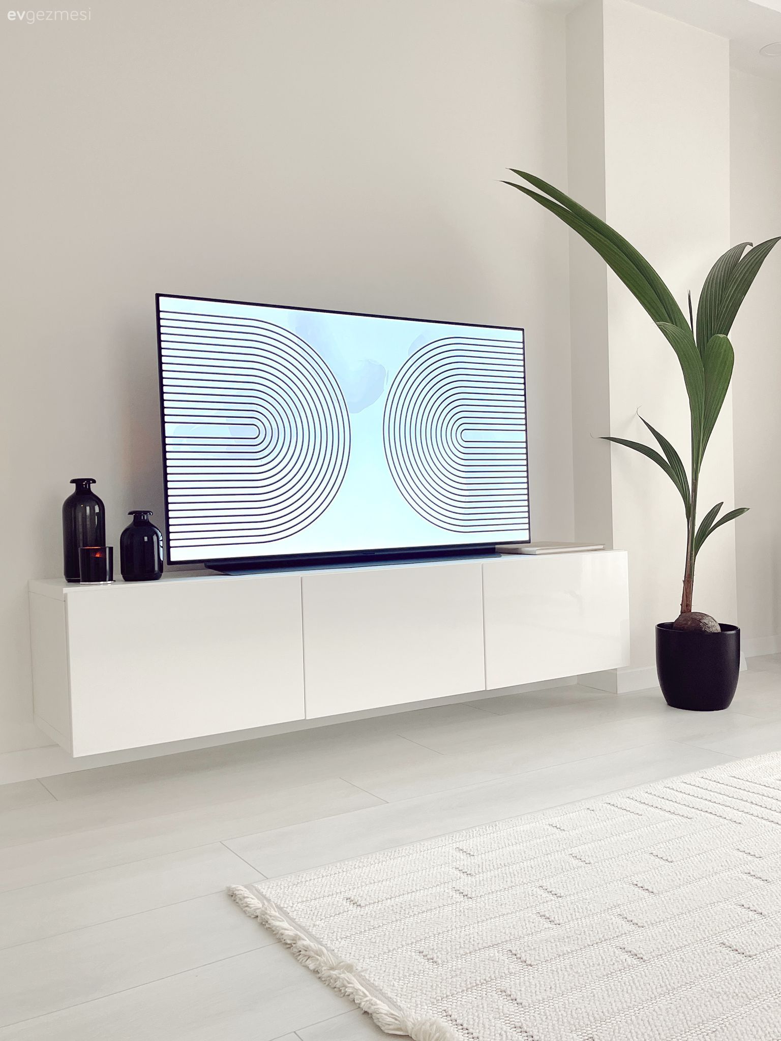 Tv ünitesi, Beyaz, Saksı, Ev bitkisi, Halı, Salon halısı