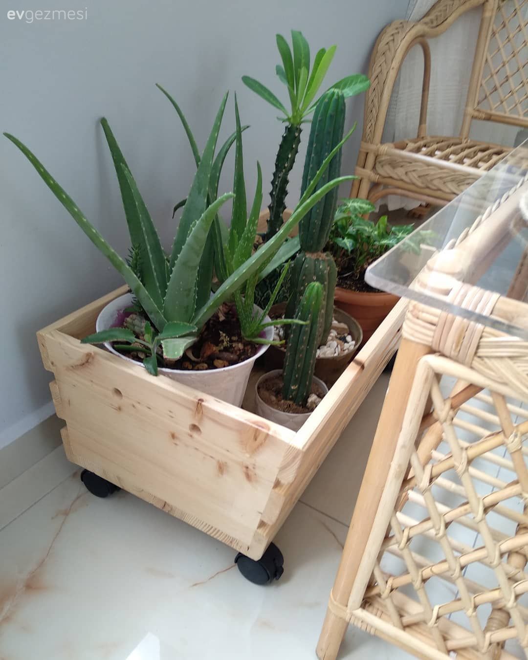 Ev Gezmesi: Modern ve Rustik Detayların Sıcacık Buluşması