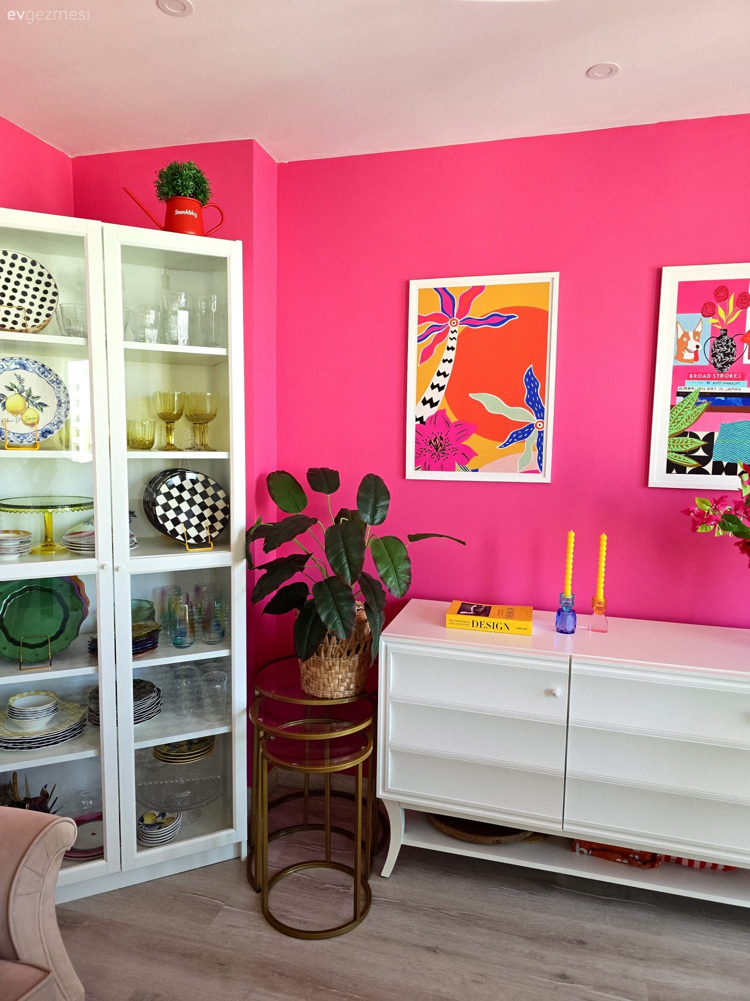 Pembe, Beyaz, Vitrin, Tablo, Duvar dekorasyonu, Konsol, Konsol üzeri dekoratif objeleri, Saksı, Ev bitkisi