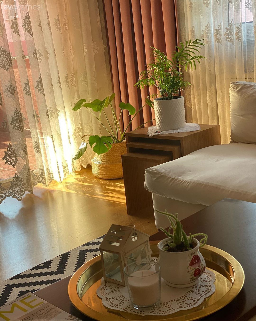 Ev bitkisi, Sehpa, Led peri ışık, Perde