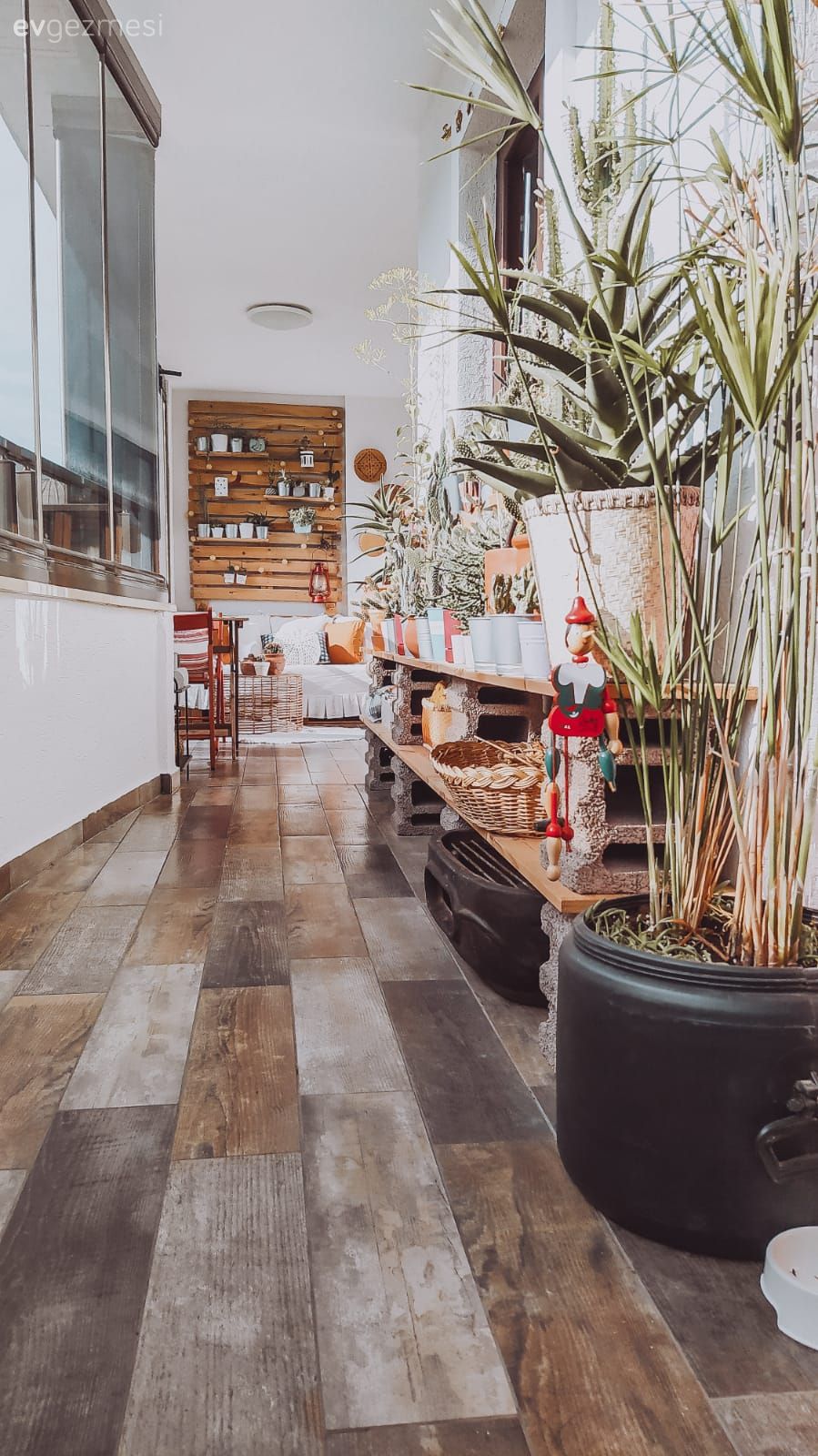 Balkon, Ev bitkisi, Balkon zemini, Beyaz, Kahverengi, Siyah