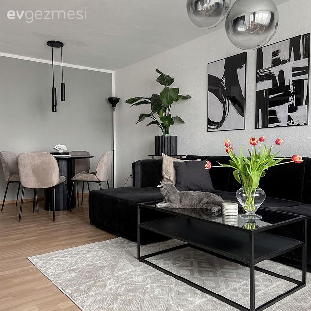 Salon, Modern, Siyah, Vizon, Beyaz, Köşe koltuk, Koltuk takımı, Tablo, Duvar dekorasyonu, Orta sehpa, Sehpa, Halı, Salon halısı, Çiçekler, Sandalye, Yemek masası, Yemek odası avizesi