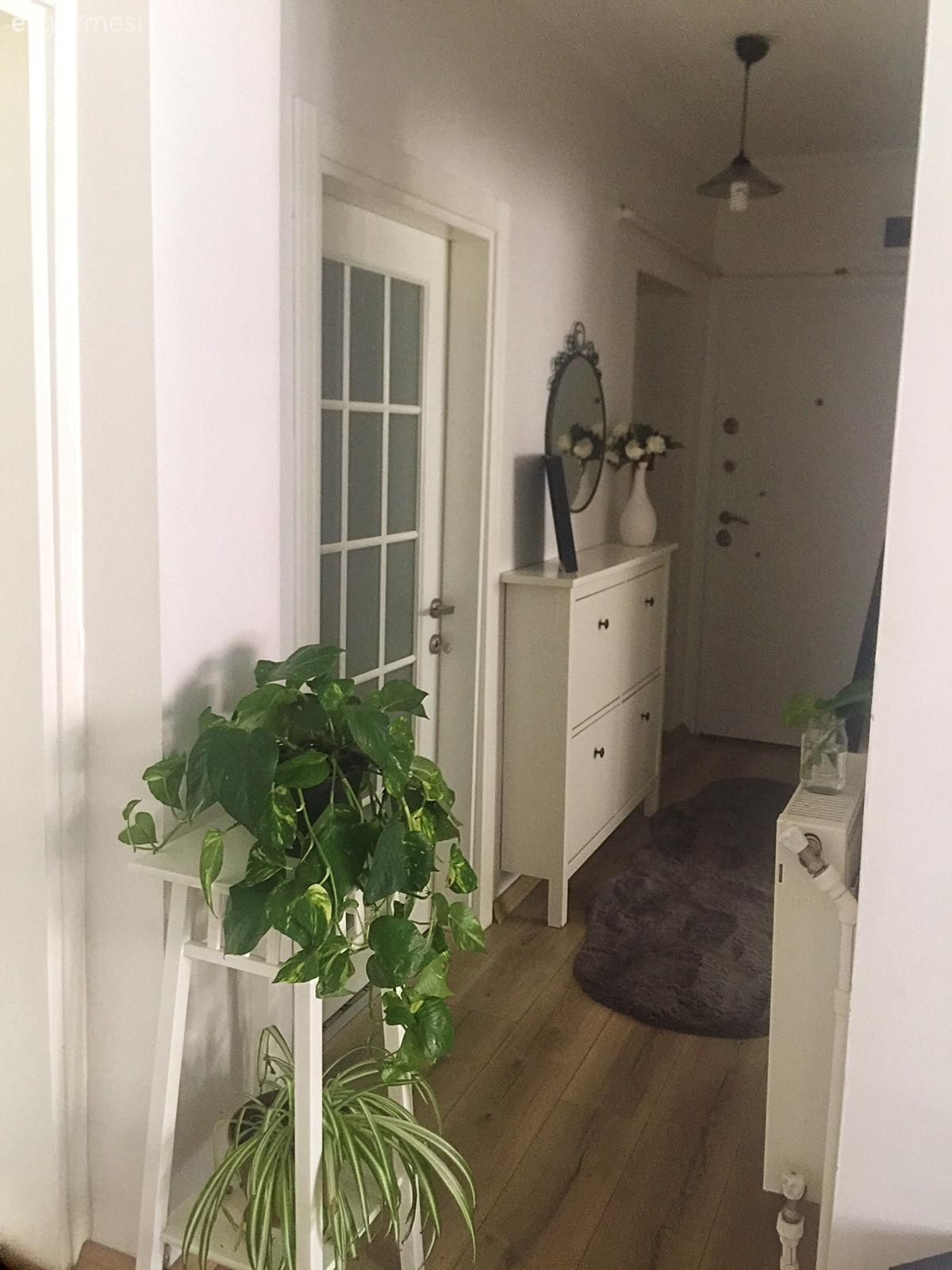 Antre, Beyaz, Gri, Ev bitkisi, Çiçeklik, Parke, Ayna, Antre avizesi, Antre halısı