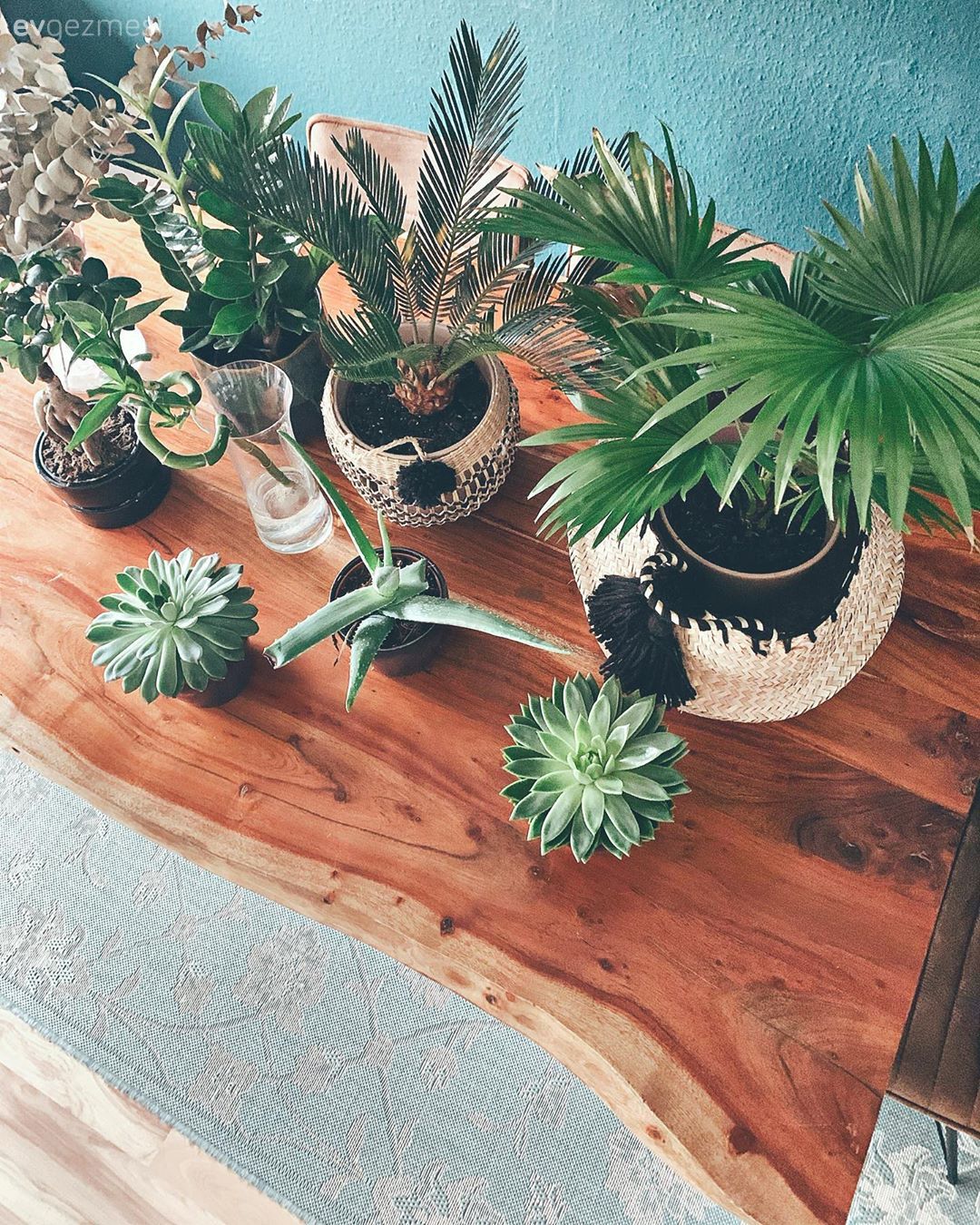 Bu Keyifli Evin Kanında Doğallık Var!