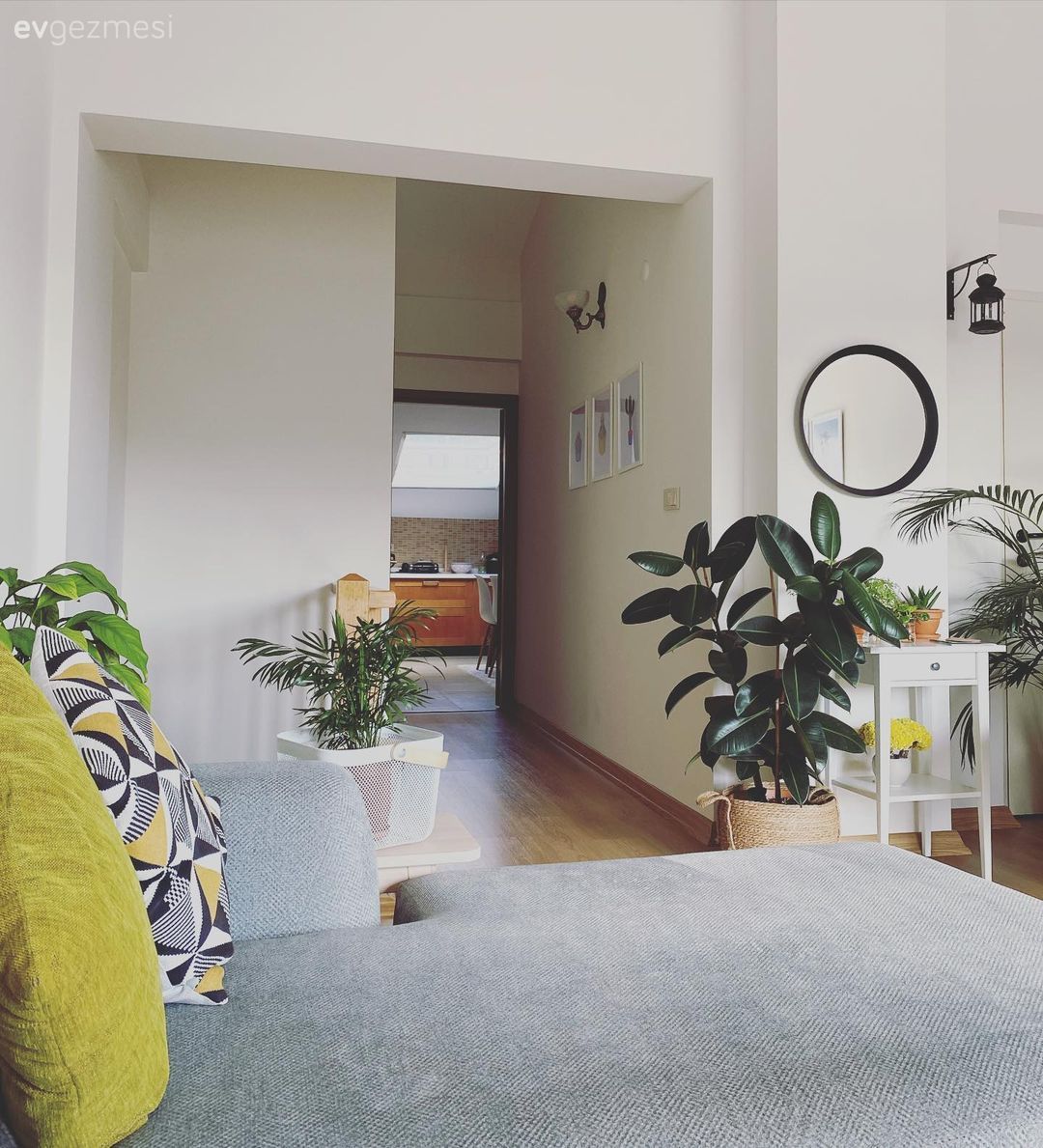 Ev bitkisi, Yuvarlak ayna, Dekoratif ayna, Gri, Yeşil