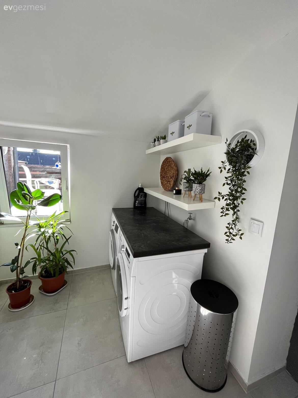 Çamaşır odası, Beyaz, Siyah, Duvar rafı, Duvar dekorasyonu, Ev bitkisi, Saksı