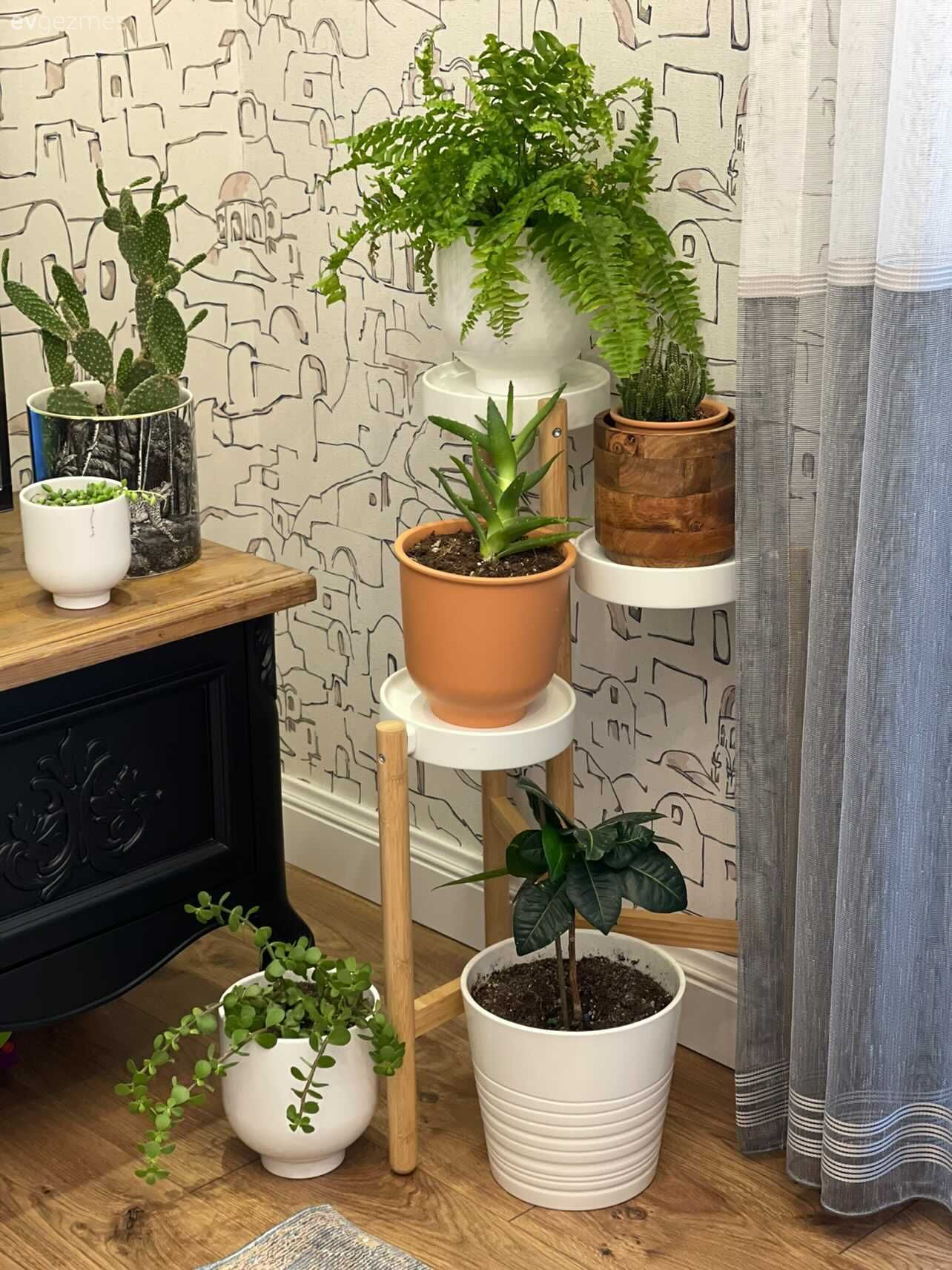 Saksı, Ev bitkisi, Duvar dekorasyonu, Tv ünitesi, Tv ünitesi aksesuarları, Ev Aksesuar