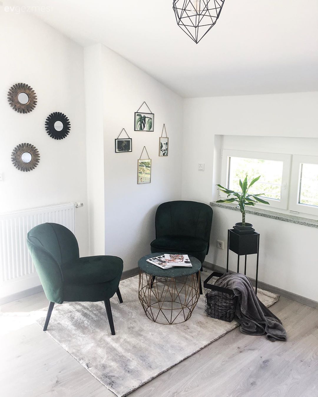 Salon, Berjer, Yeşil, Metal ayaklı sehpa, Sehpa, Halı, Salon halısı, Çiçeklik, Duvar dekorasyonu, Avize, Aydınlatma, Salon avizesi, Ev bitkisi