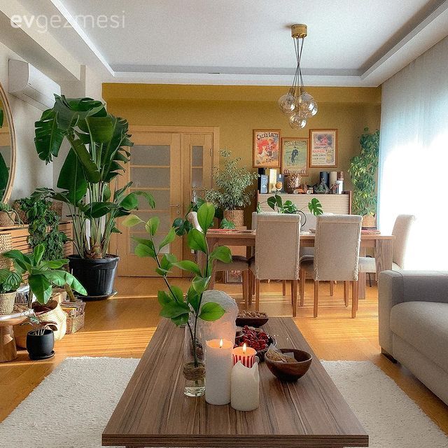 Salon, Bohem Dekorasyon, Ev bitkisi, Orta sehpa, Sehpa, Sandalye, Avize, Aydınlatma, Çerçeve, Tablo, Duvar dekorasyonu, Halı, Salon halısı, Beyaz, Kahverengi, Hardal, Mum