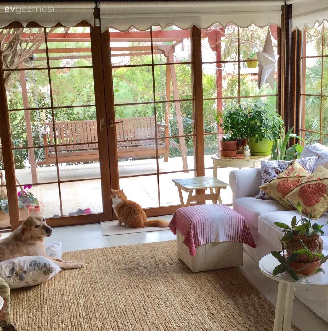 Kış bahçesi, Koltuk takımı, Jüt halı, Halı, Puf, Sehpa, Beyaz, Stor perde, Ev bitkisi, Saksı, Kırlent, Ev tekstili