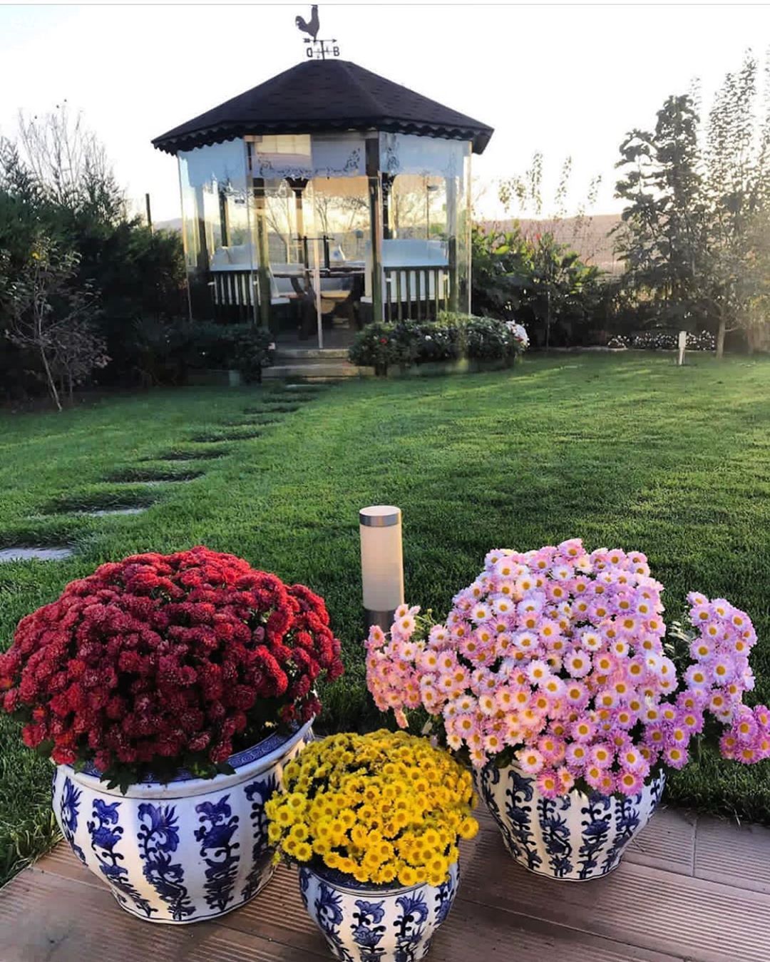 Bahçe, Peyzaj, Kamelya, Çiçekler, Vazo, Ev Aksesuar