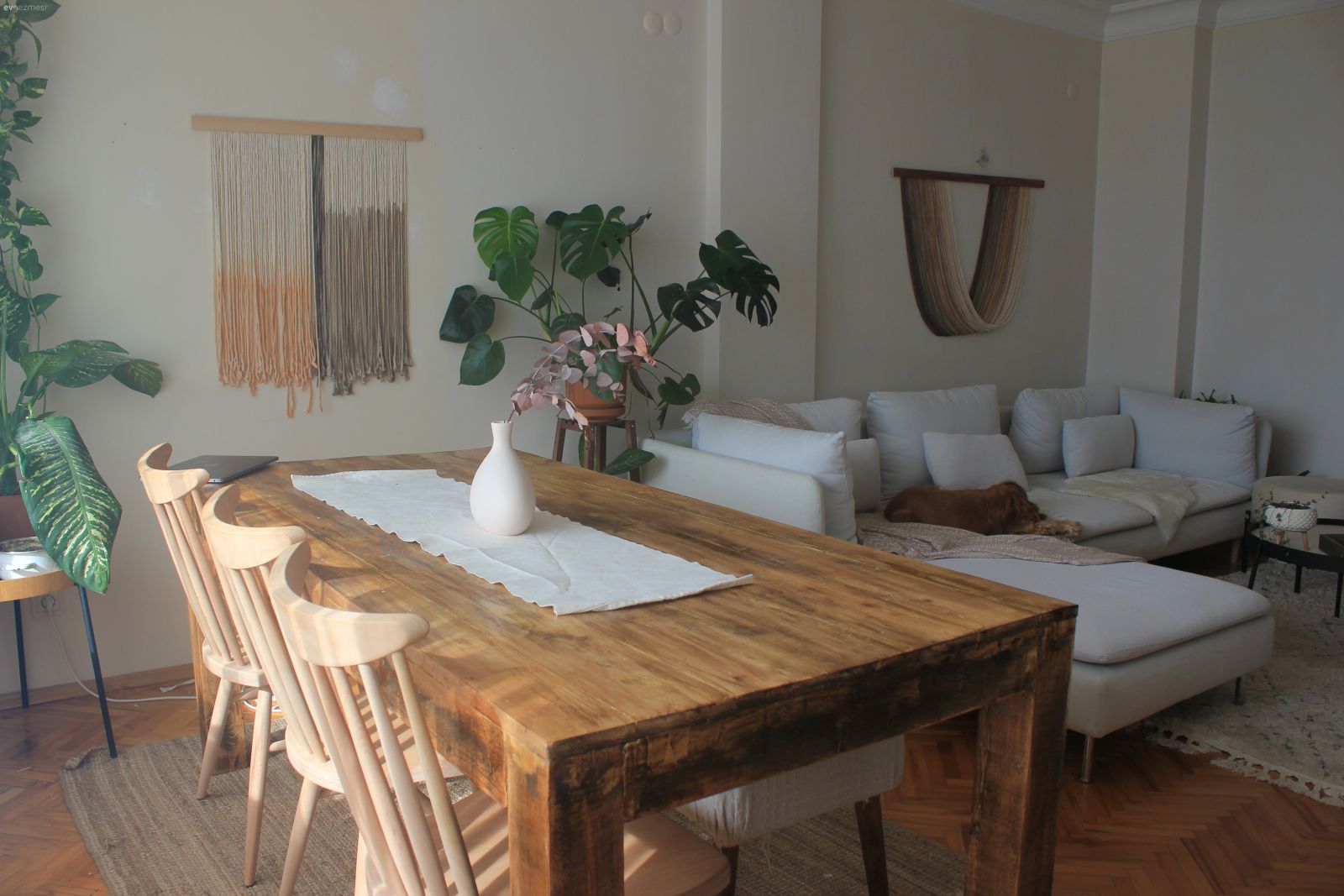 Salon, Bohem Dekorasyon, Beyaz, Koltuk takımı, Köşe koltuk, Beyaz koltuk, Halı, Salon halısı, Duvar dekorasyonu, Makrome, Orta sehpa, Sehpa, Berjer, Sandalye, Ev bitkisi, Yuvarlak sehpa, Metal ayaklı sehpa, Parke, Kırlent, Ev tekstili, İskandinav, Yemek masası, Ahşap Mobilya