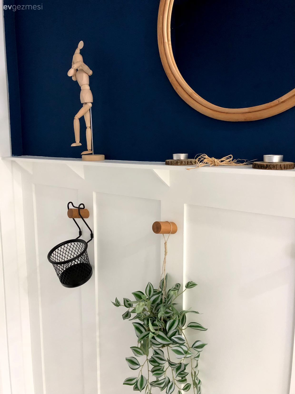 Mavi duvar, Beyaz, Duvar çıtalama, Ev bitkisi, Altın