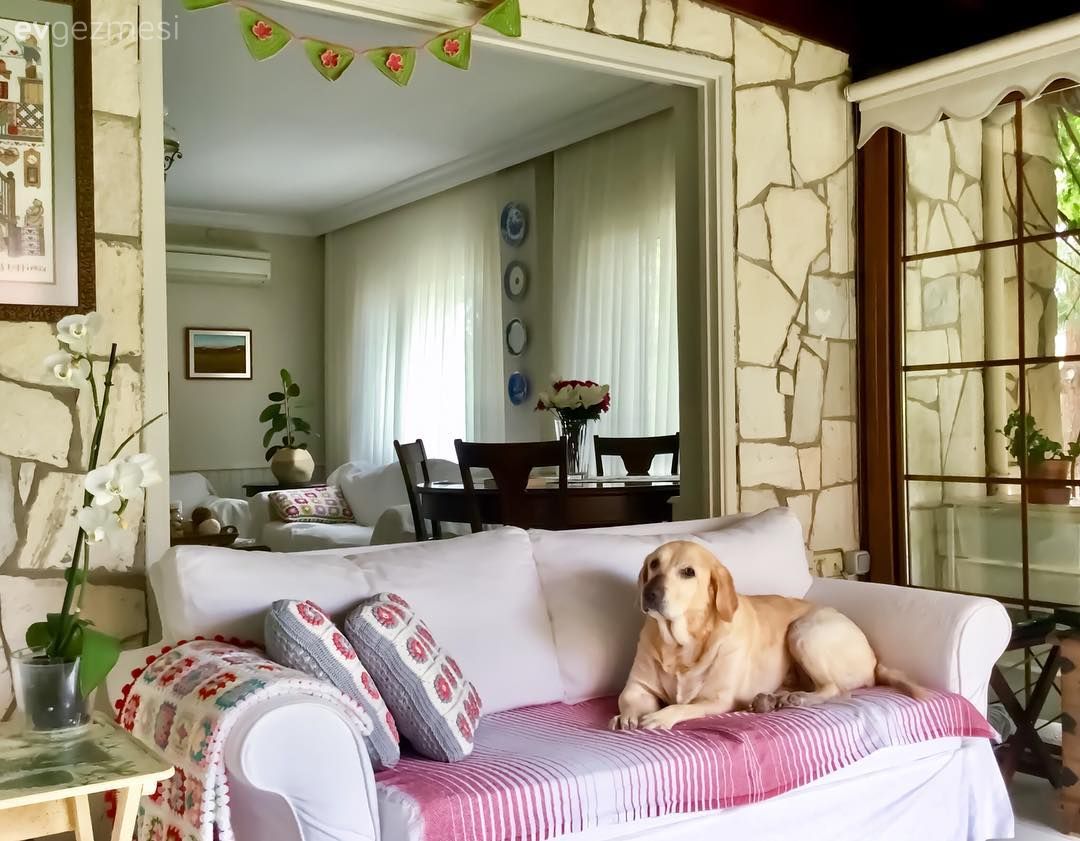 Kış bahçesi, Beyaz, Koltuk takımı, Desenler, Ev bitkisi, Saksı, Koltuk örtüsü, Kırlent, Ev tekstili, Taş duvar, Duvar dekorasyonu, Tablo, Sehpa