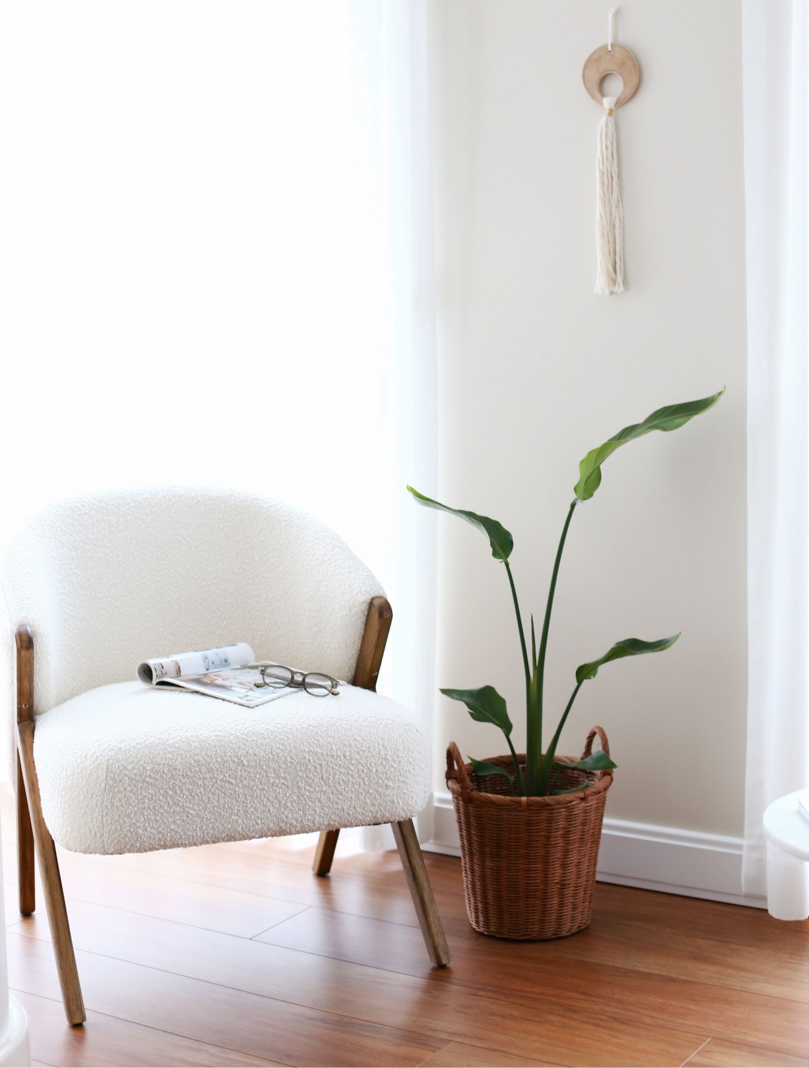 Saksı, Beyaz, Kahverengi, Ev bitkisi, Berjer