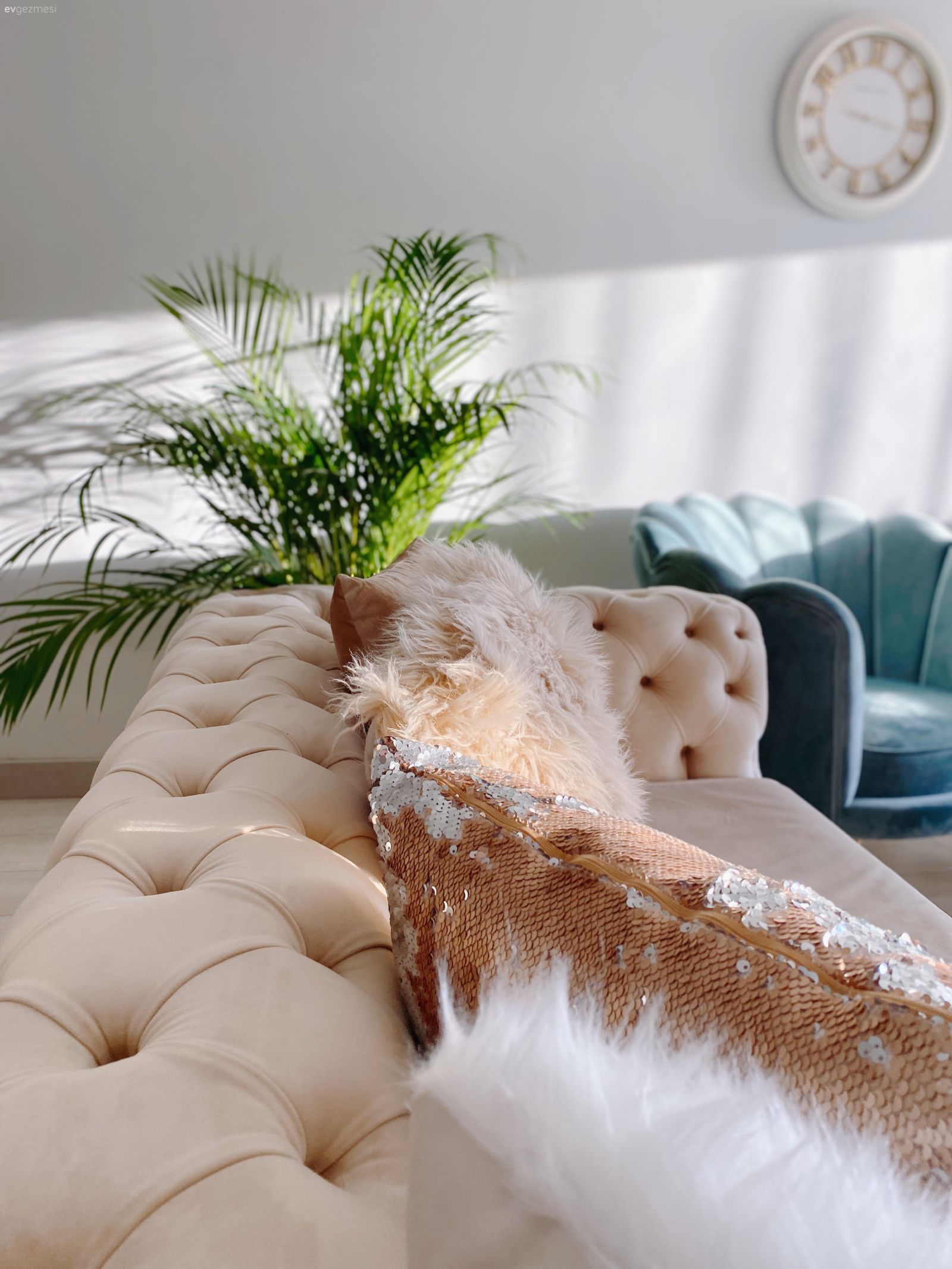 Salon, Kapitoneli koltuk, Koltuk takımı, Krem, Mavi, Berjer, Ev bitkisi, Duvar saati, Duvar dekorasyonu
