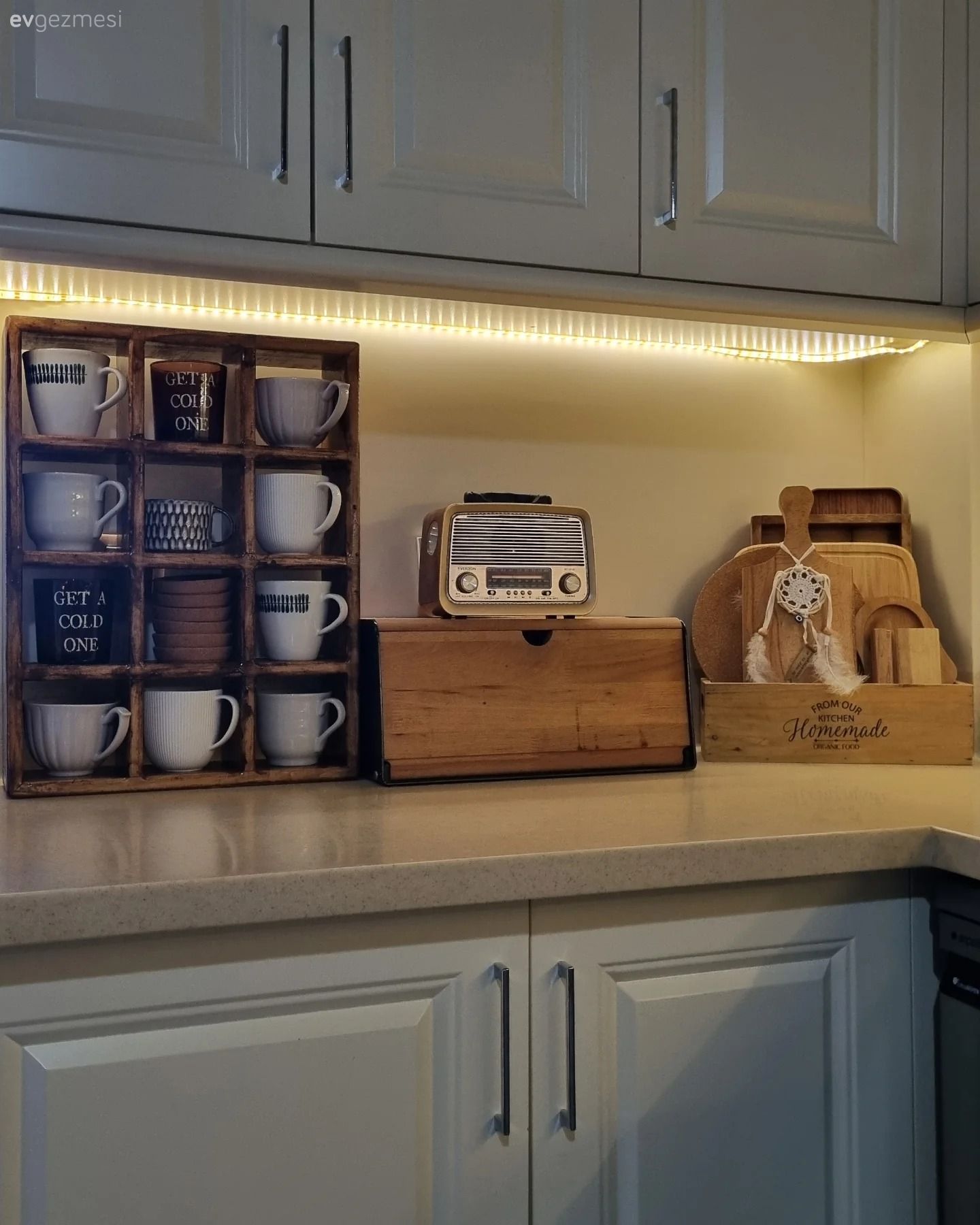 Bu Ankara Evinde Bitkiler Fazlaca Söz Sahibi