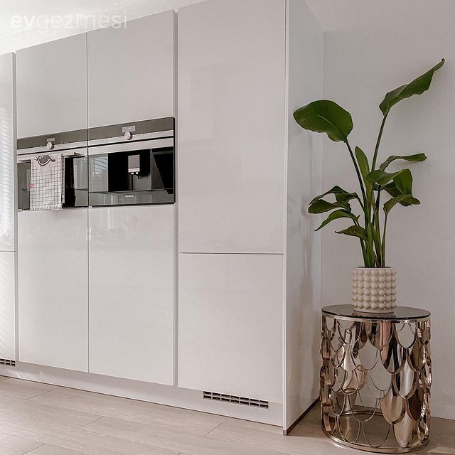 Mutfak, Beyaz, Modern mutfak, Kulpsuz mutfak dolabı, Ev bitkisi, Saksı, Ankastre