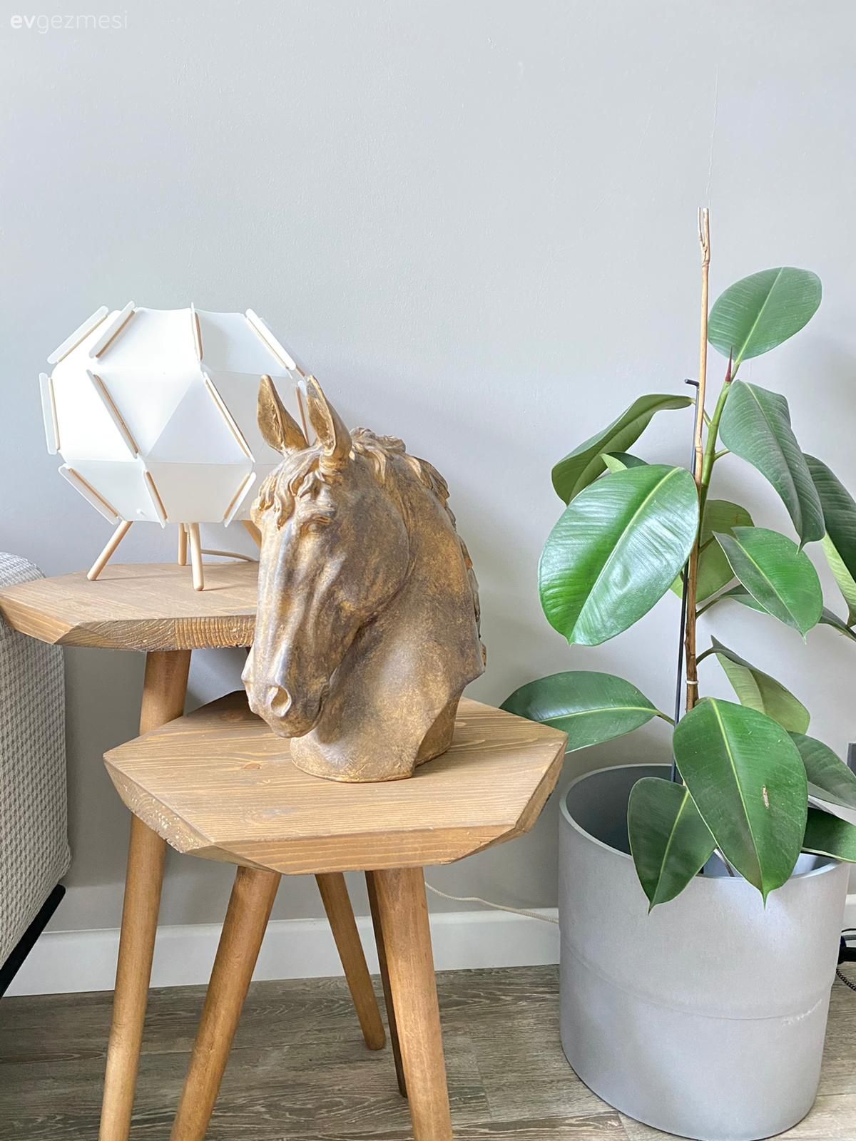 Ev bitkisi, Sehpa, Dekoratif Objeler