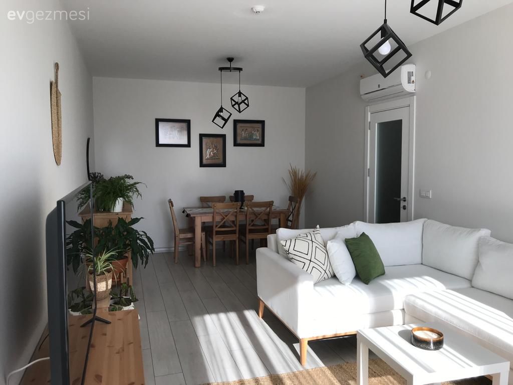 Köşe koltuk, Koltuk takımı, Beyaz koltuk, Ahşap Mobilya, Kahverengi, Yeşil, Siyah, Orta sehpa, Sehpa, Sandalye, Yemek masası, Avize, Aydınlatma, Ev bitkisi, Tv ünitesi, Çerçeve