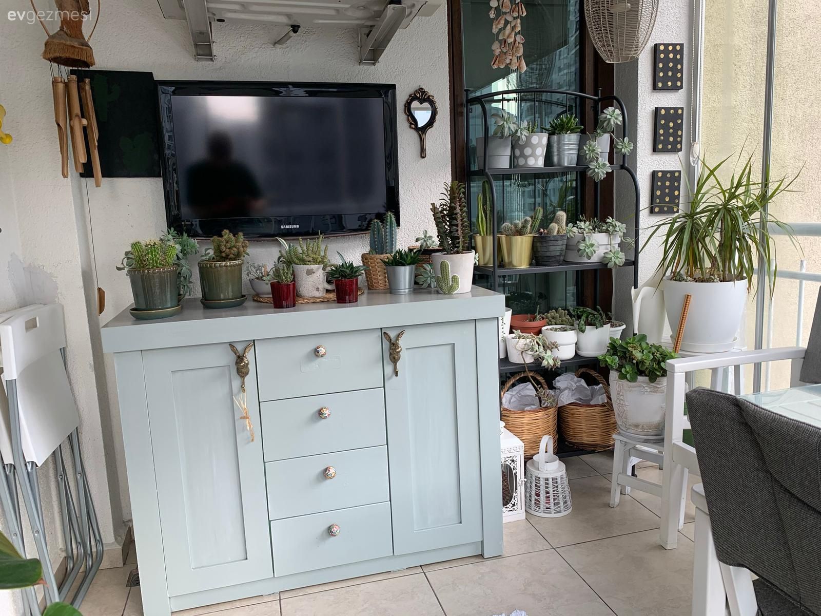 Balkon, Beyaz, Siyah, Ev bitkisi, Balkon çiçekleri