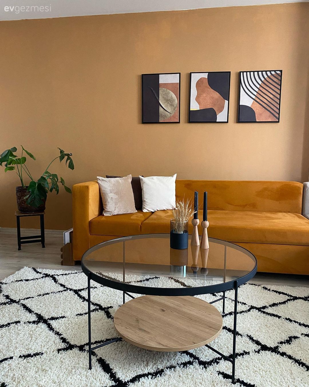 Turuncu Duvar Bu Muş Evine Nasıl Da Hareket Katmış!