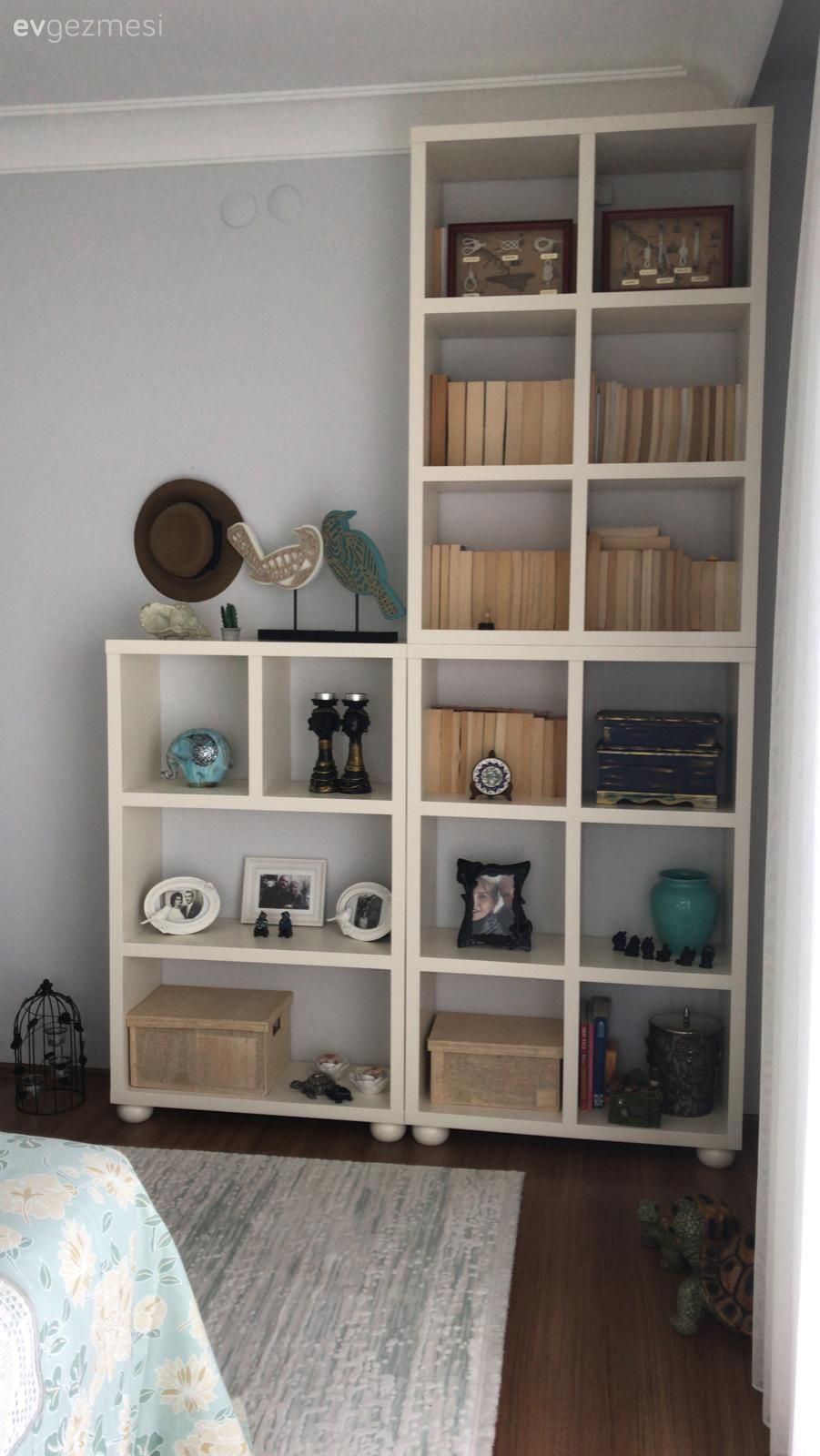 Kitaplık, Dekoratif Objeler, Halı