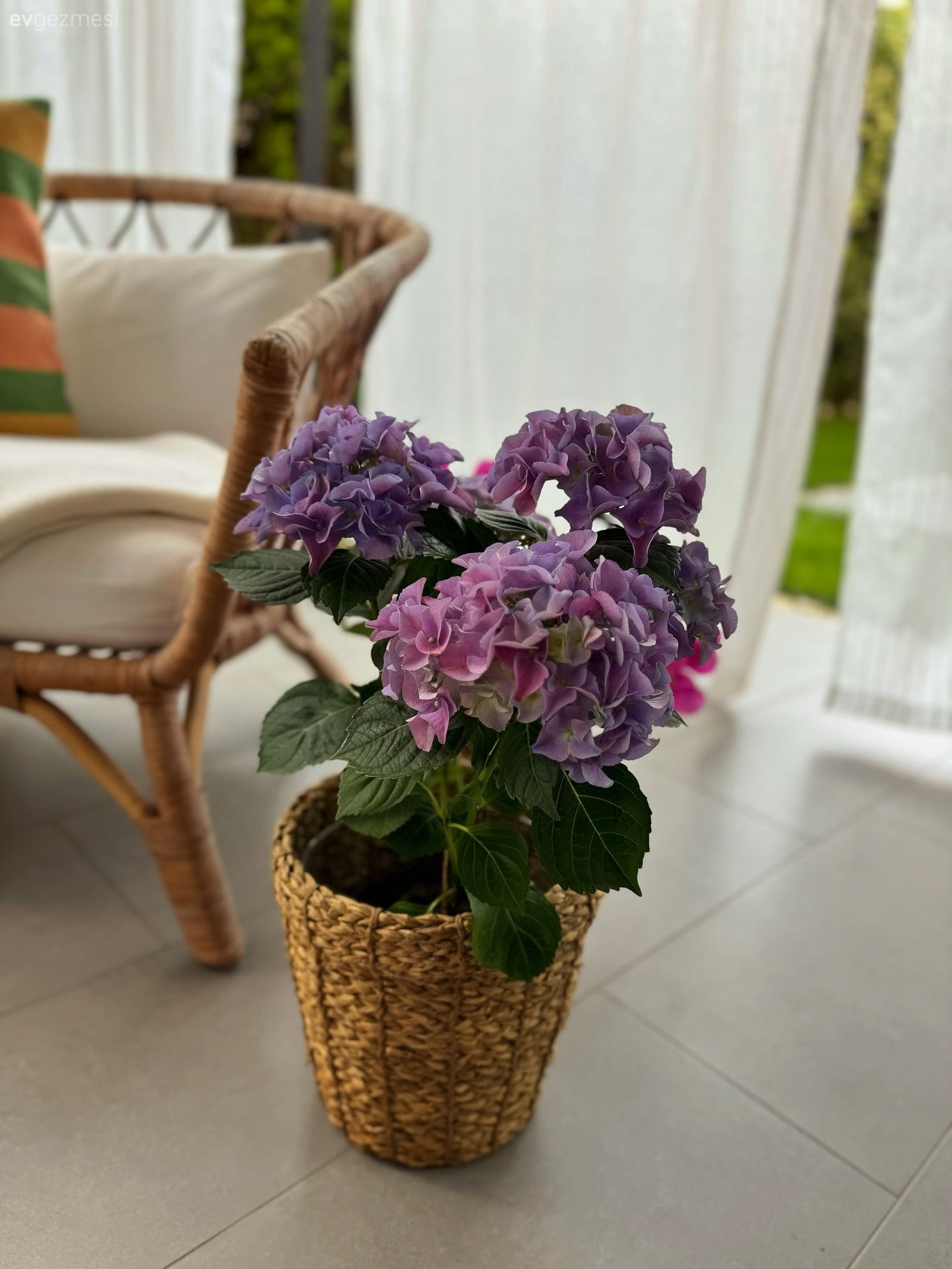 Bu Bahçenin Enerjisi İnsanı Festival Alanında Hissettiriyor