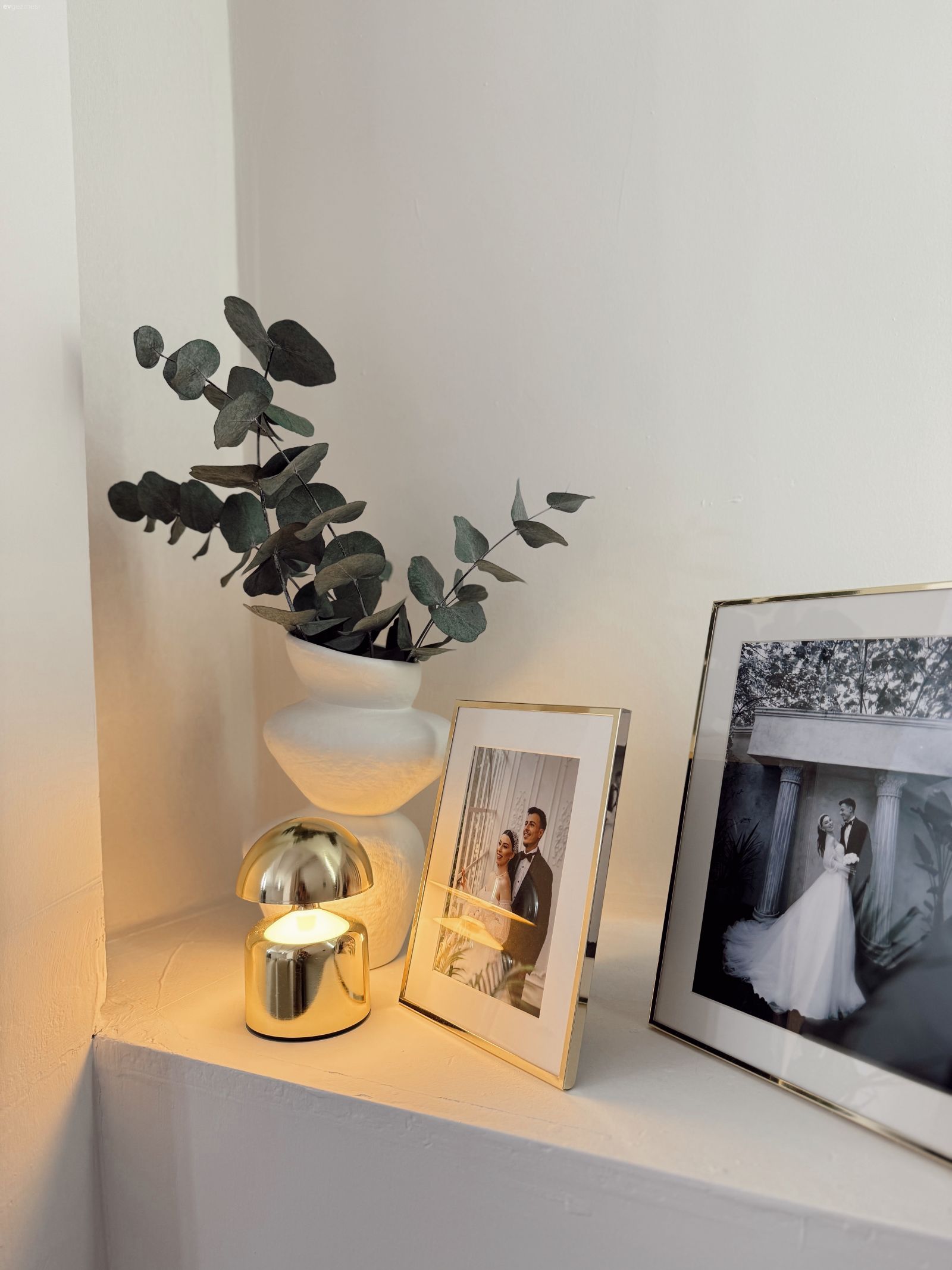 Ev bitkisi, Dekoratif Objeler