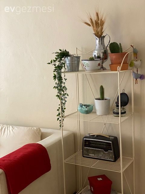 Dekoratif Objeler, Vazo, Ev Aksesuar